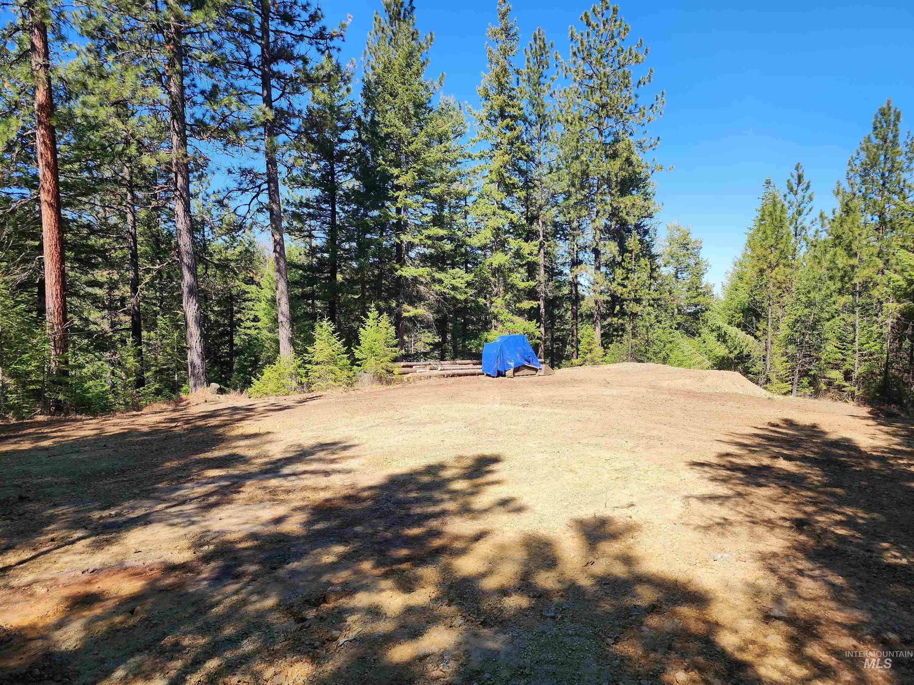 Tbd Grangeville-salmon Road Property Photo 5