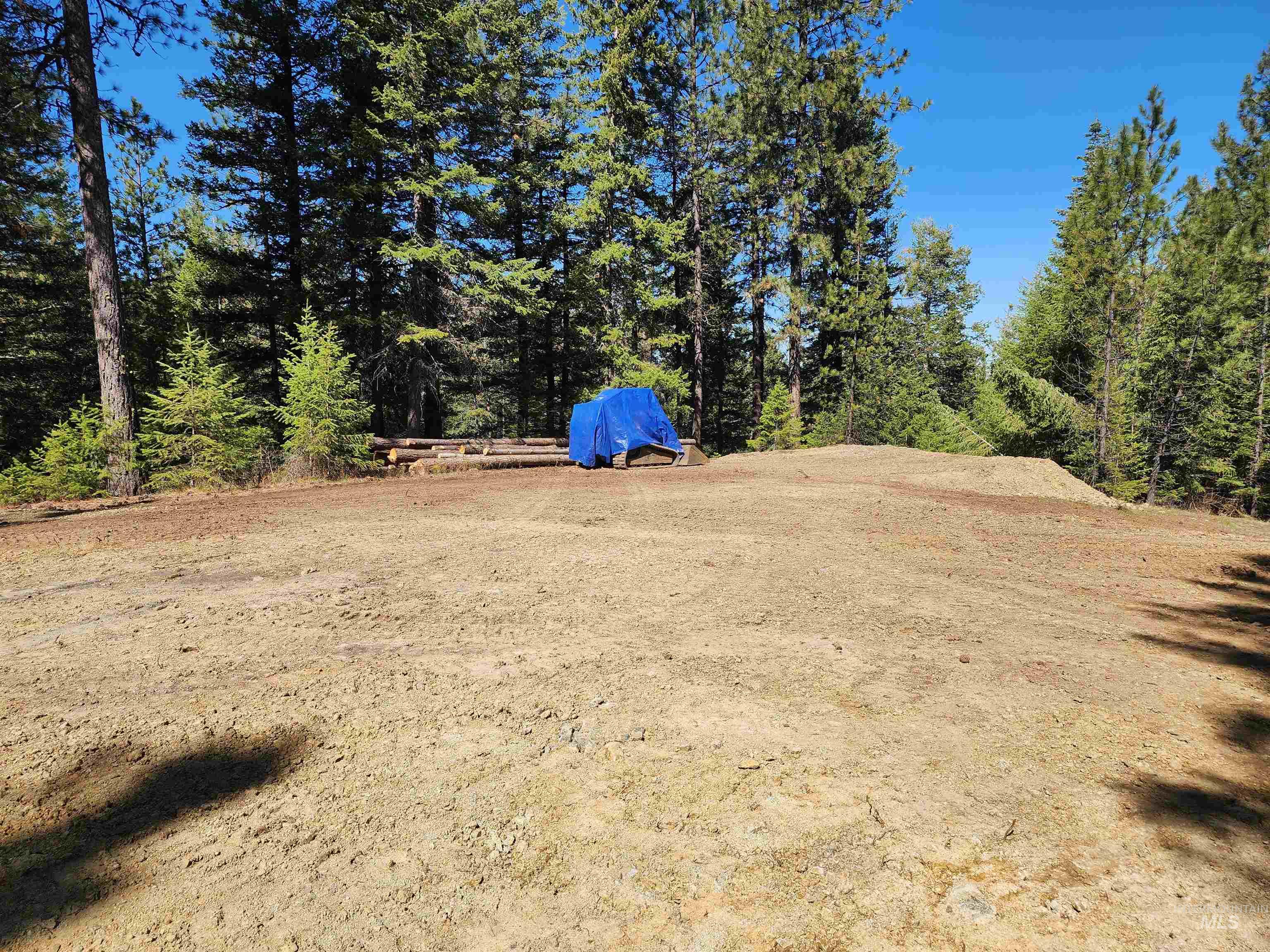 Tbd Grangeville-salmon Road Property Photo 6