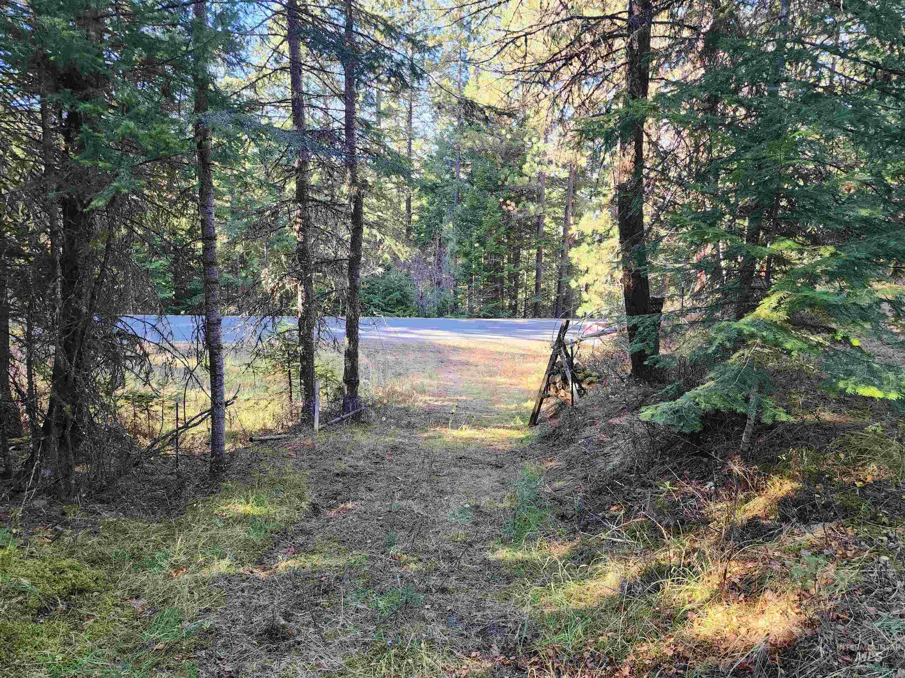 Tbd Grangeville-salmon Road Property Photo 8