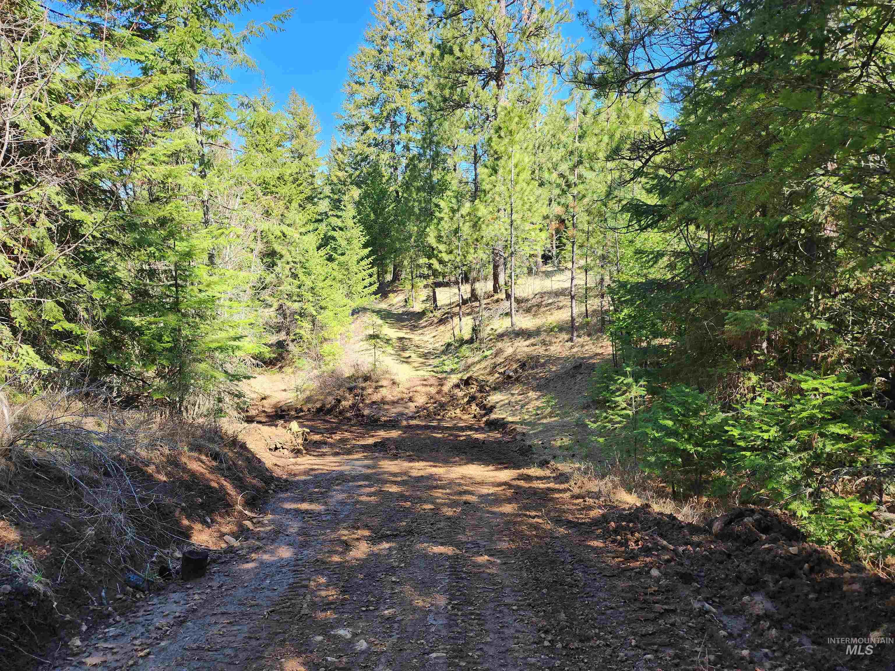 Tbd Grangeville-salmon Road Property Photo 9