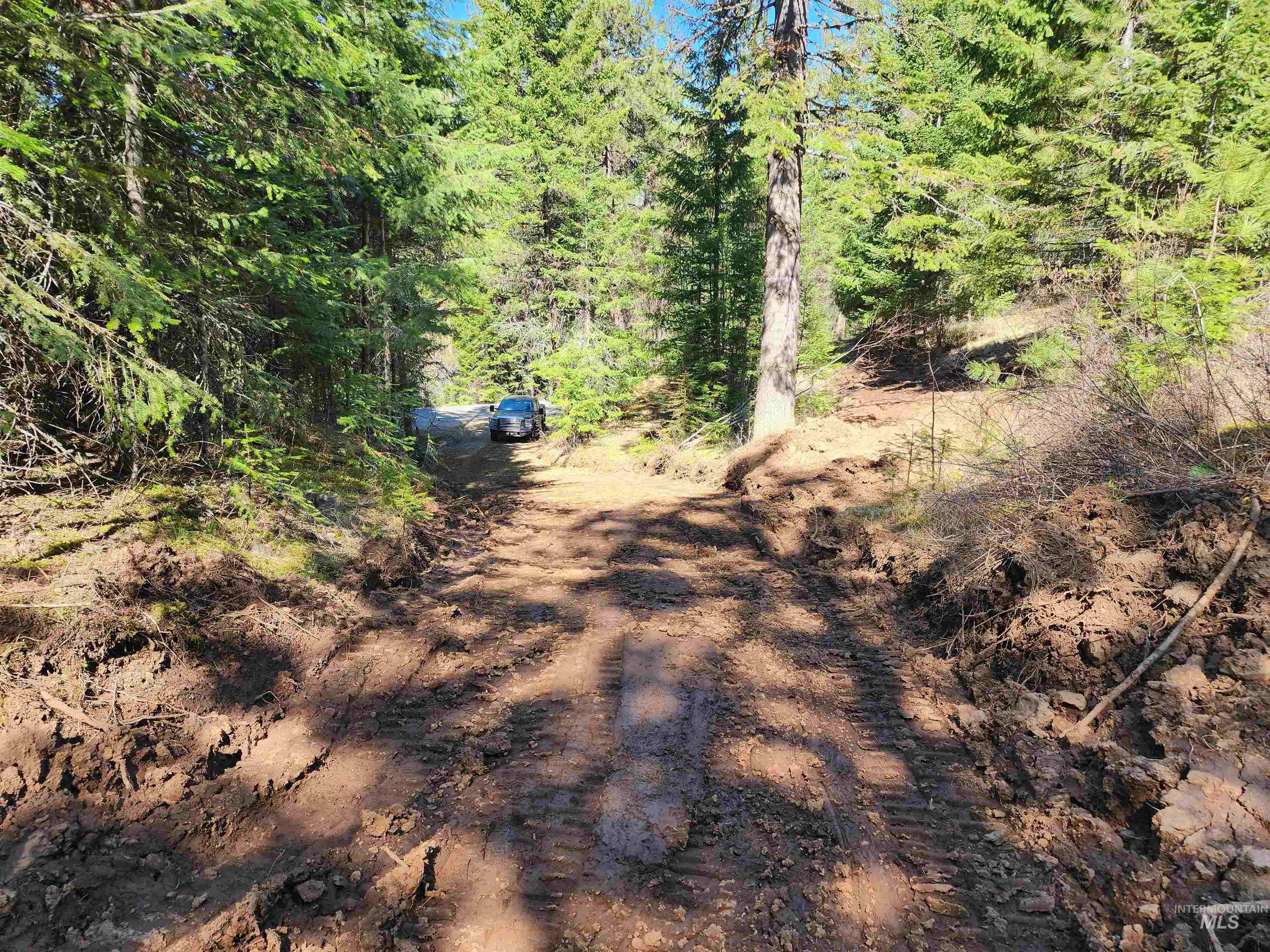 Tbd Grangeville-salmon Road Property Photo 10