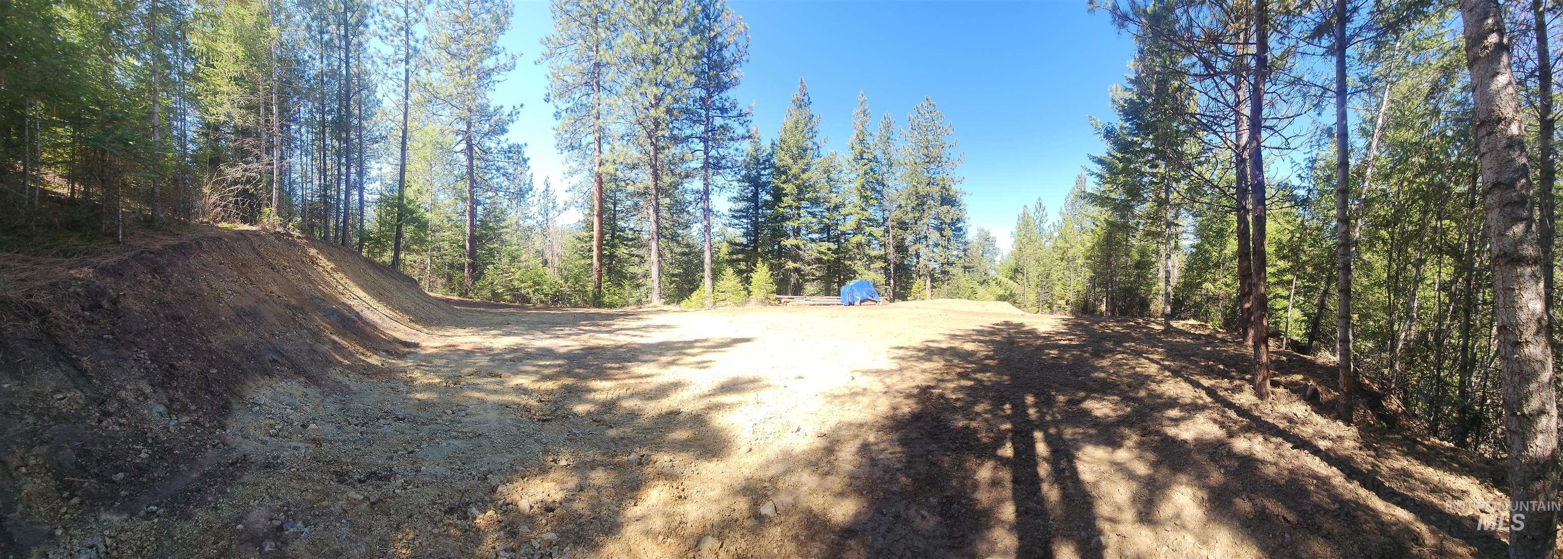 Tbd Grangeville-salmon Road Property Photo 12