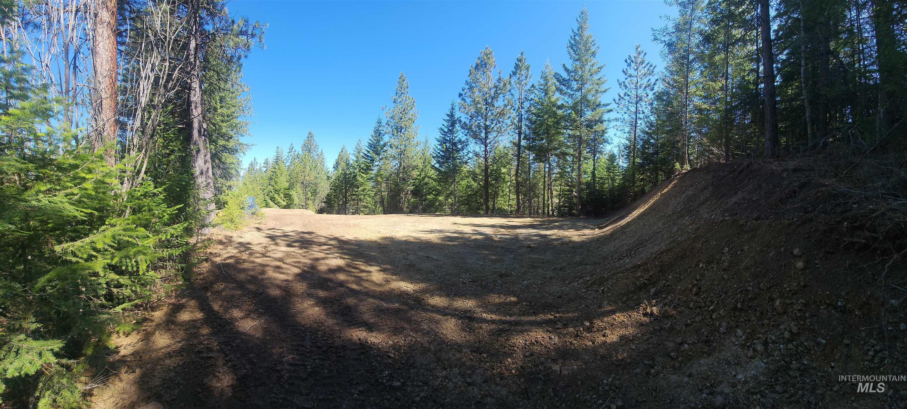 Tbd Grangeville-salmon Road Property Photo 13
