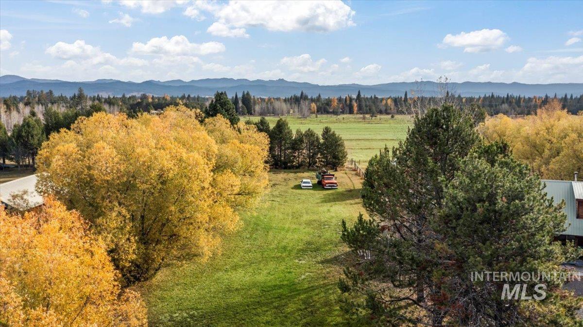 13076 Hill House Loop Property Photo 2