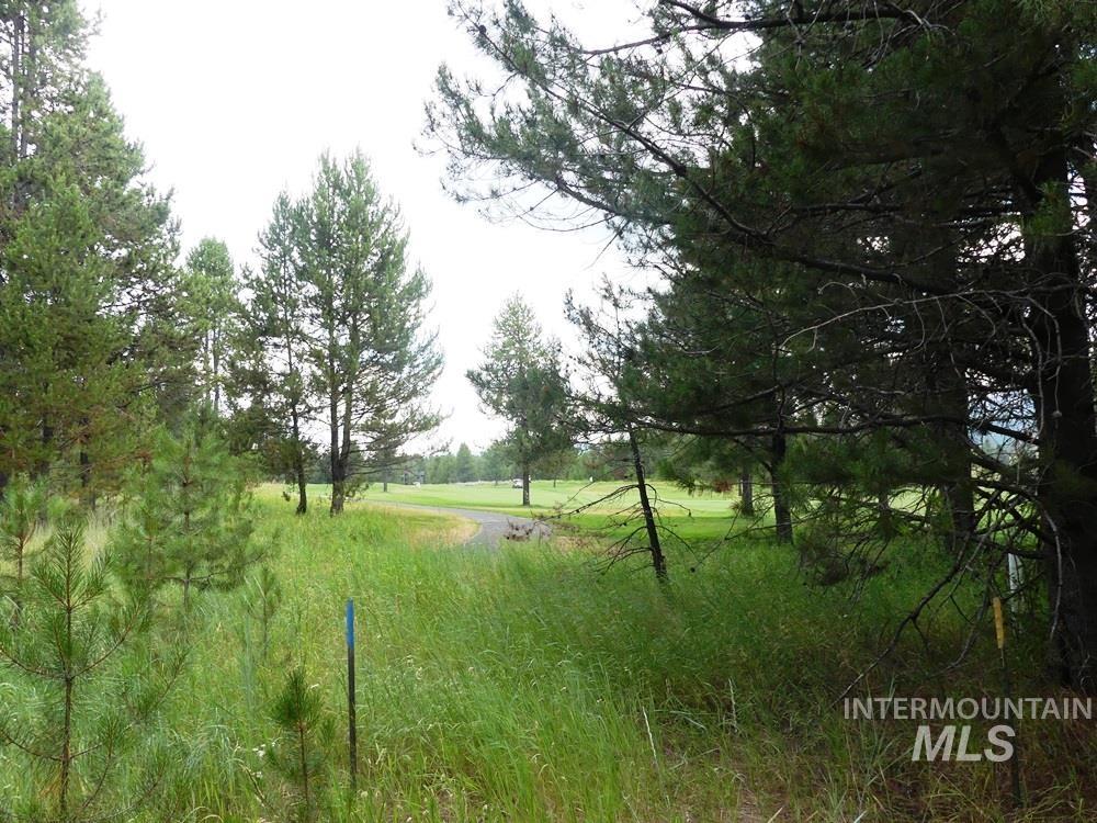 430 Wilhelm Creek Ct Property Photo 2
