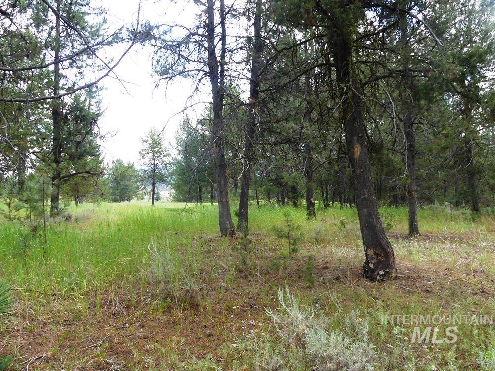 430 Wilhelm Creek Ct Property Photo 3