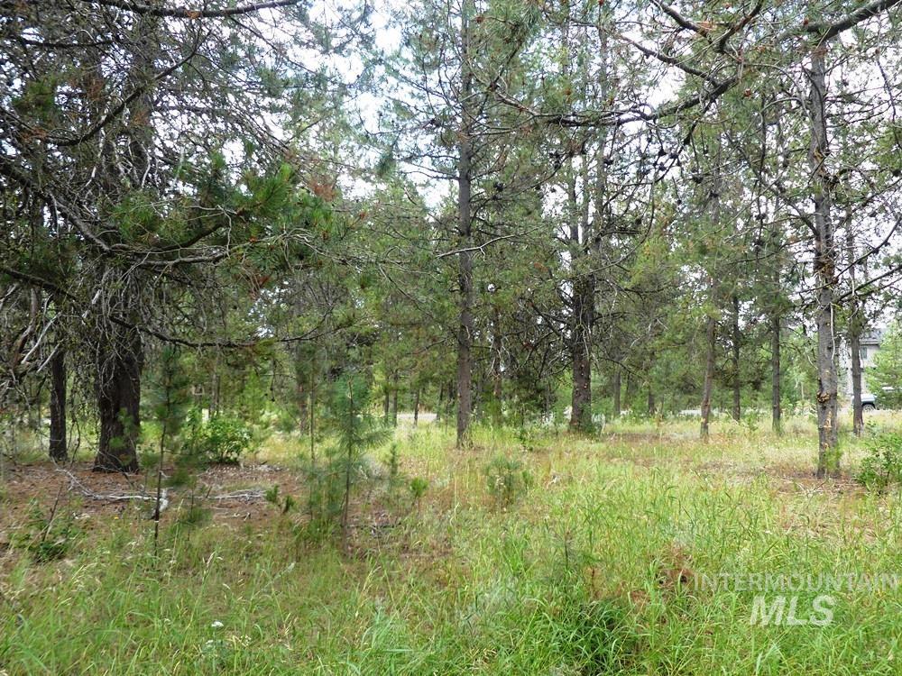 430 Wilhelm Creek Ct Property Photo 4