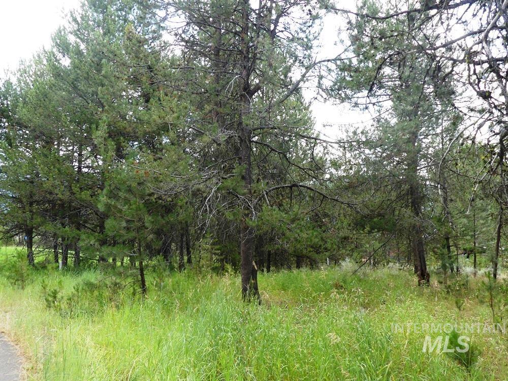 430 Wilhelm Creek Ct Property Photo 6