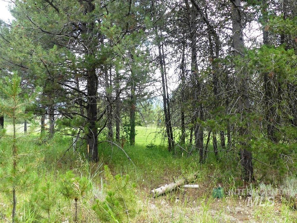 430 Wilhelm Creek Ct Property Photo 10