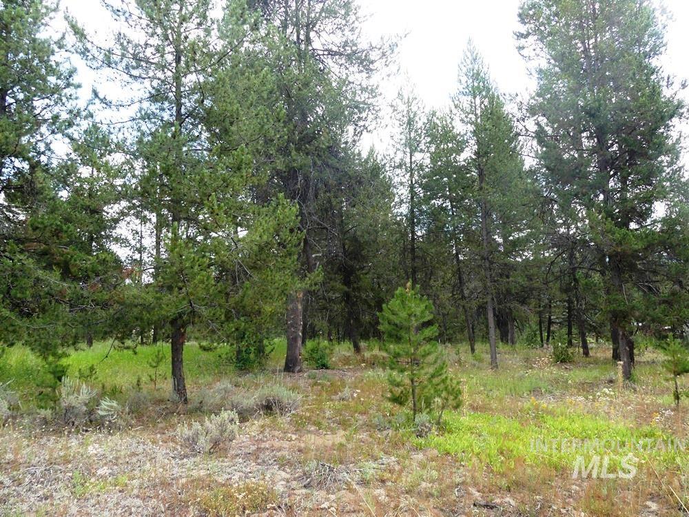 430 Wilhelm Creek Ct Property Photo 11