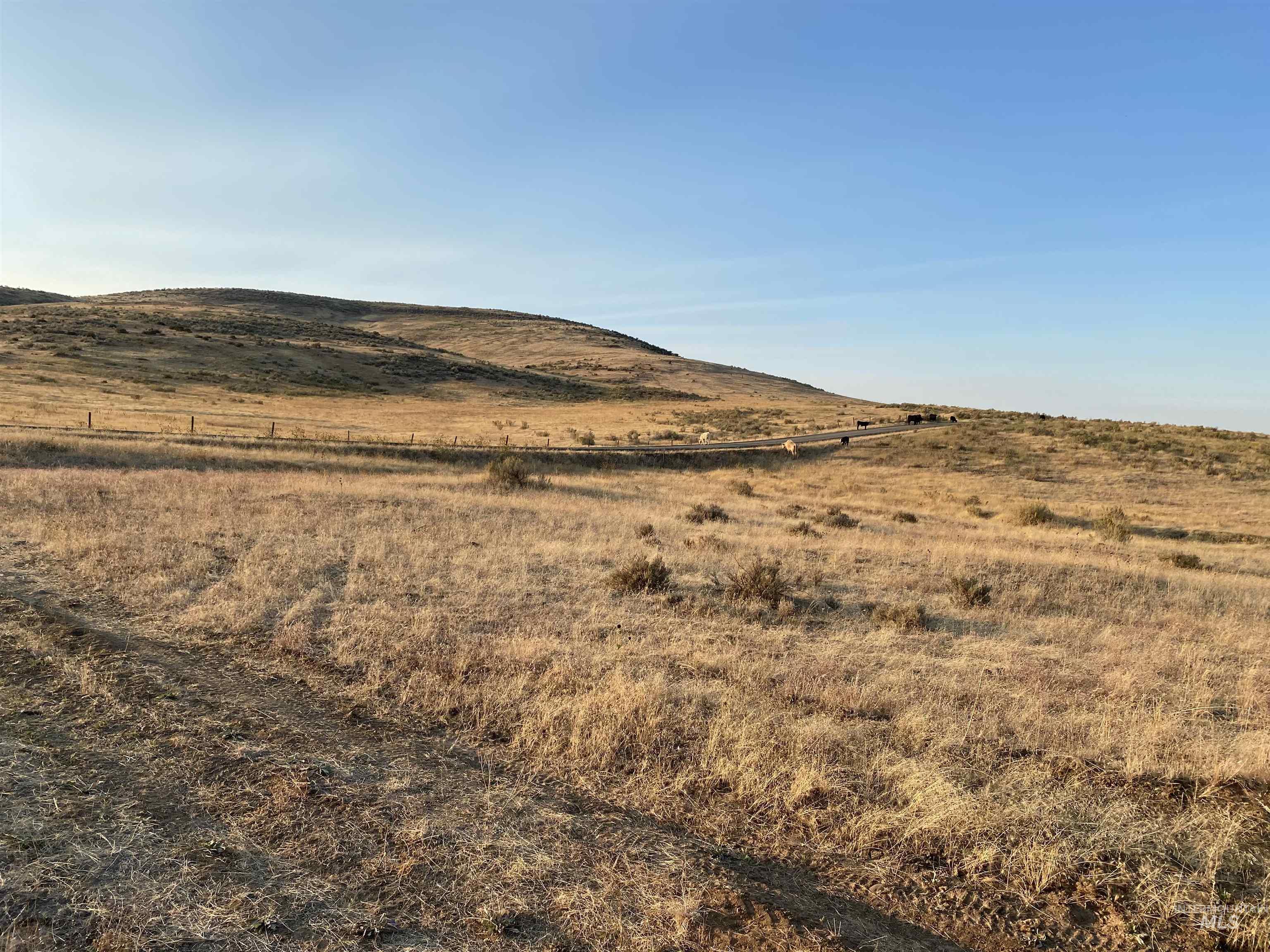 000 Indain Valley Rd Property Photo 19