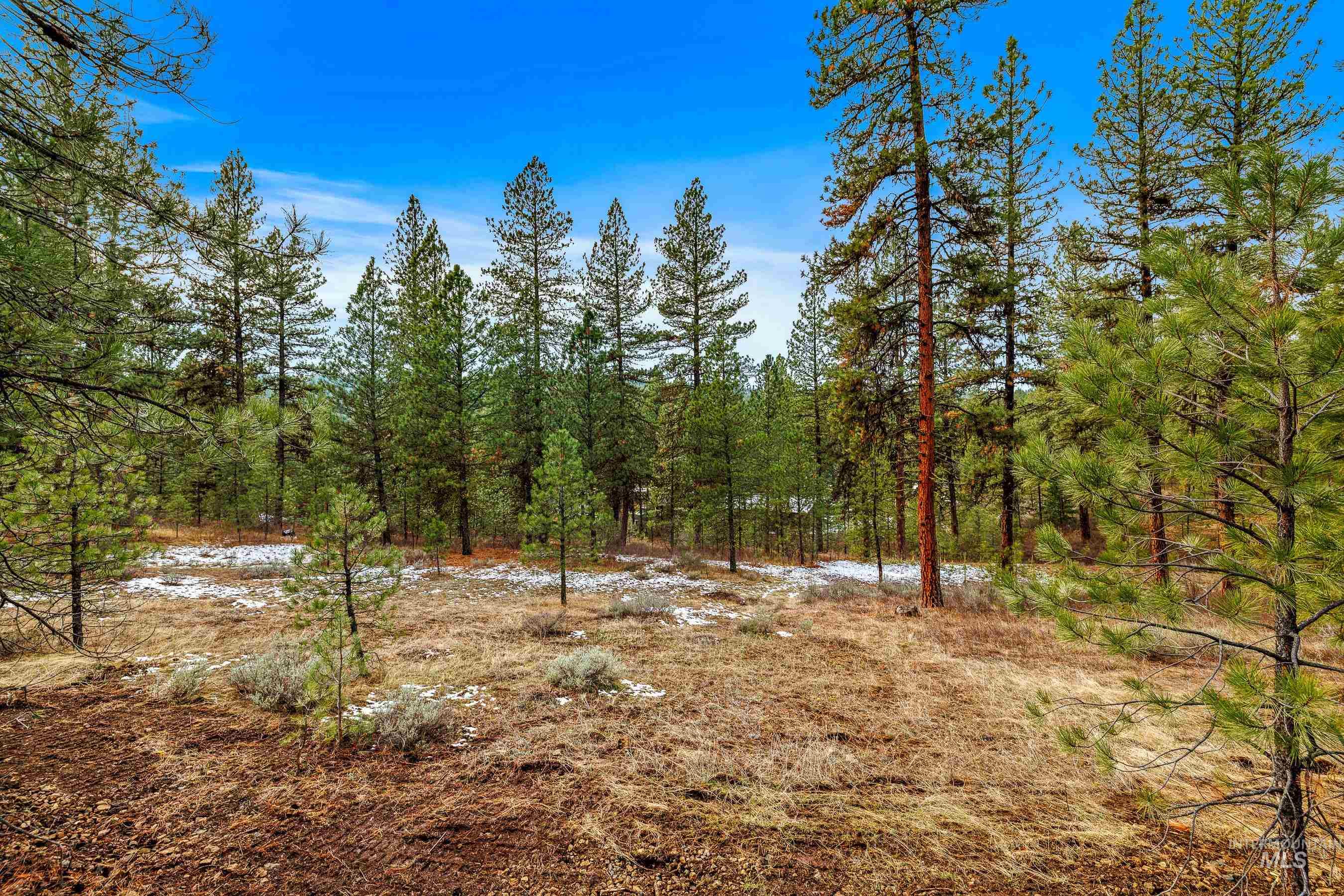 3917 Yarrow Drive Property Photo 4
