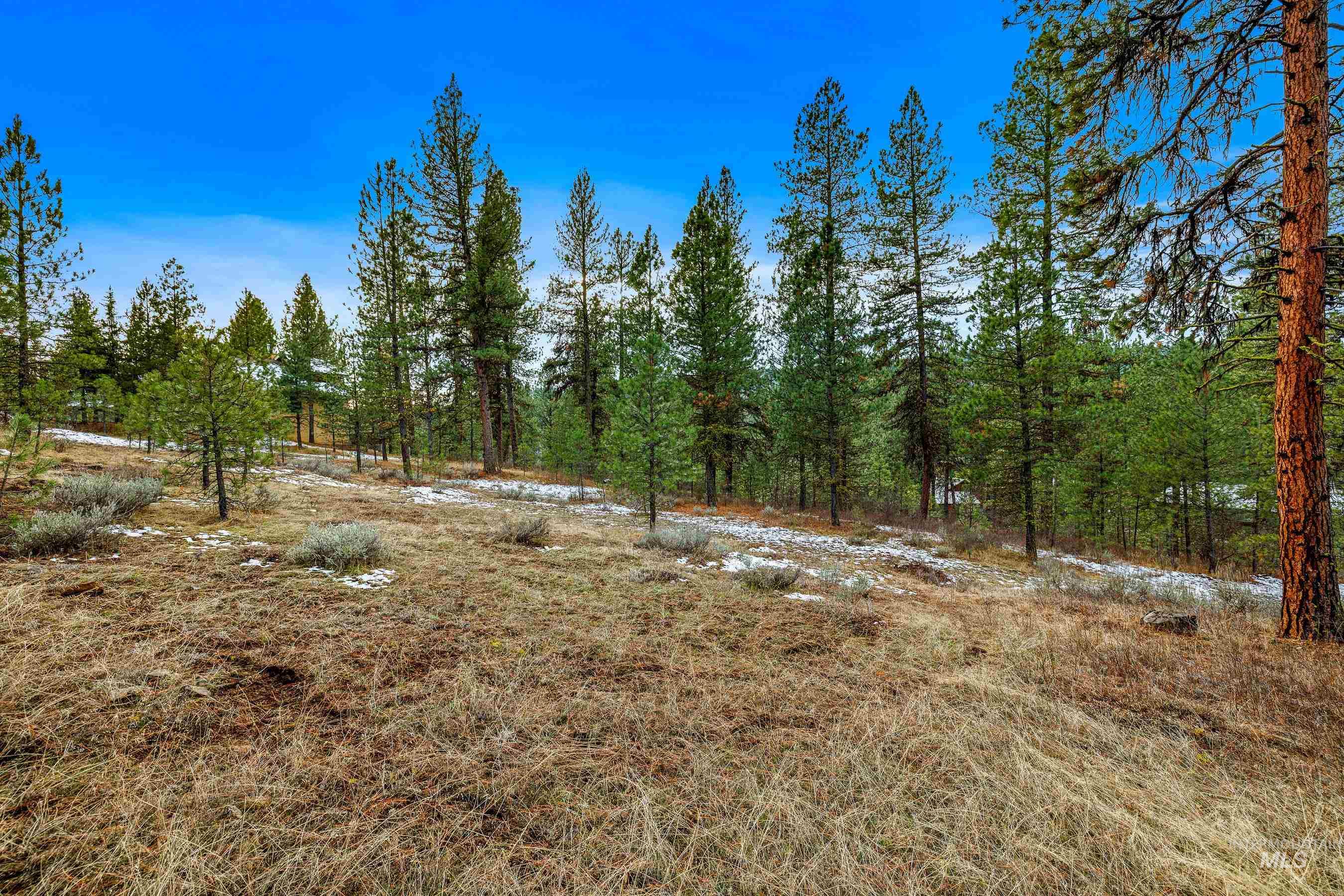 3917 Yarrow Drive Property Photo 6