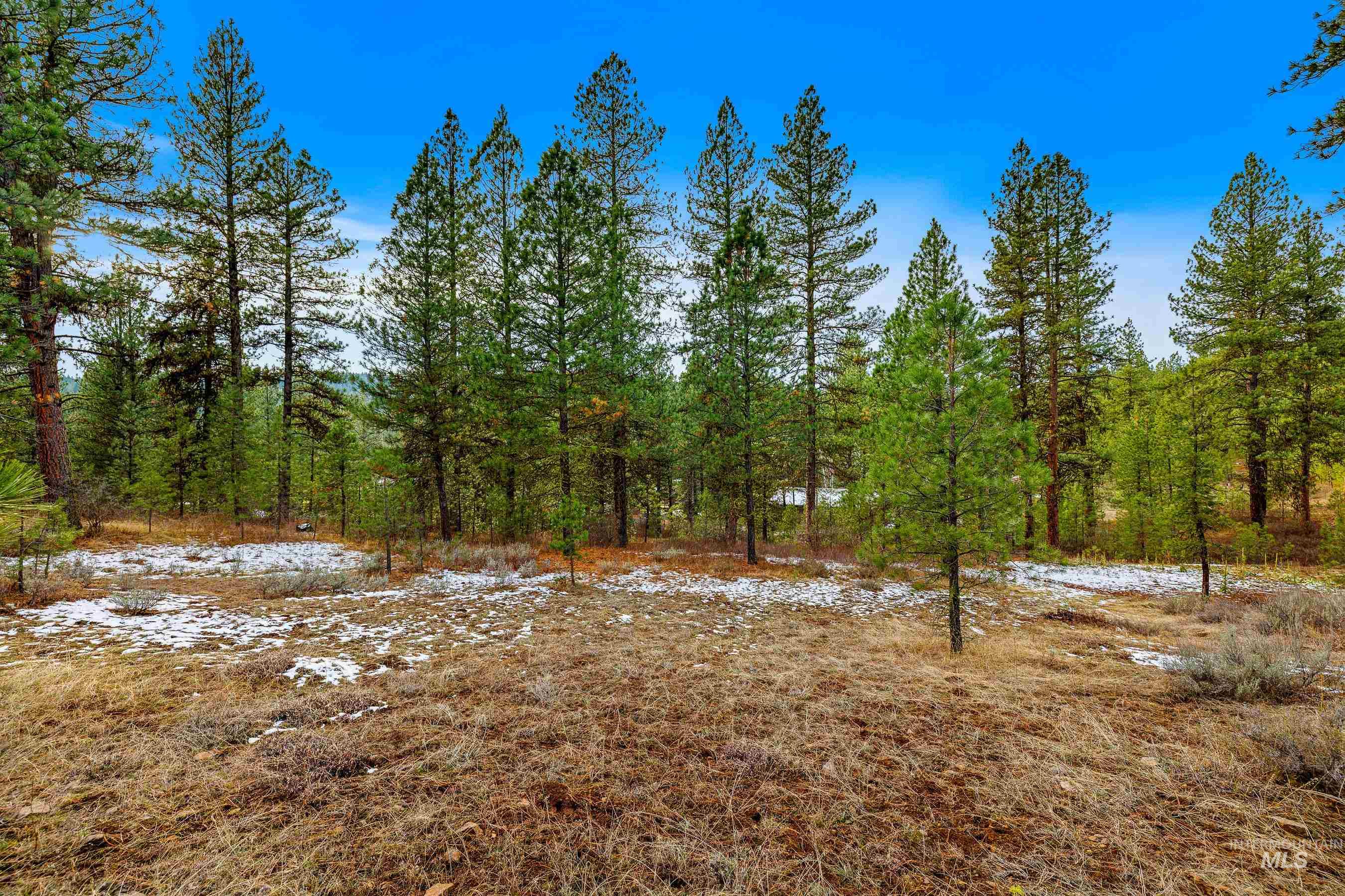 3917 Yarrow Drive Property Photo 7