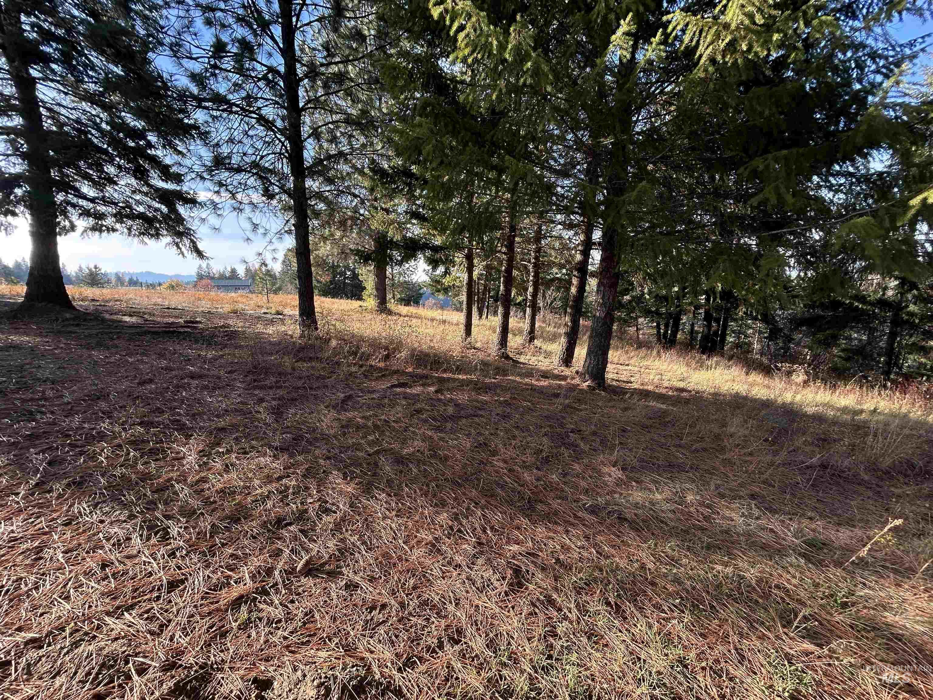 30478 W Juniper Cir Property Photo 10