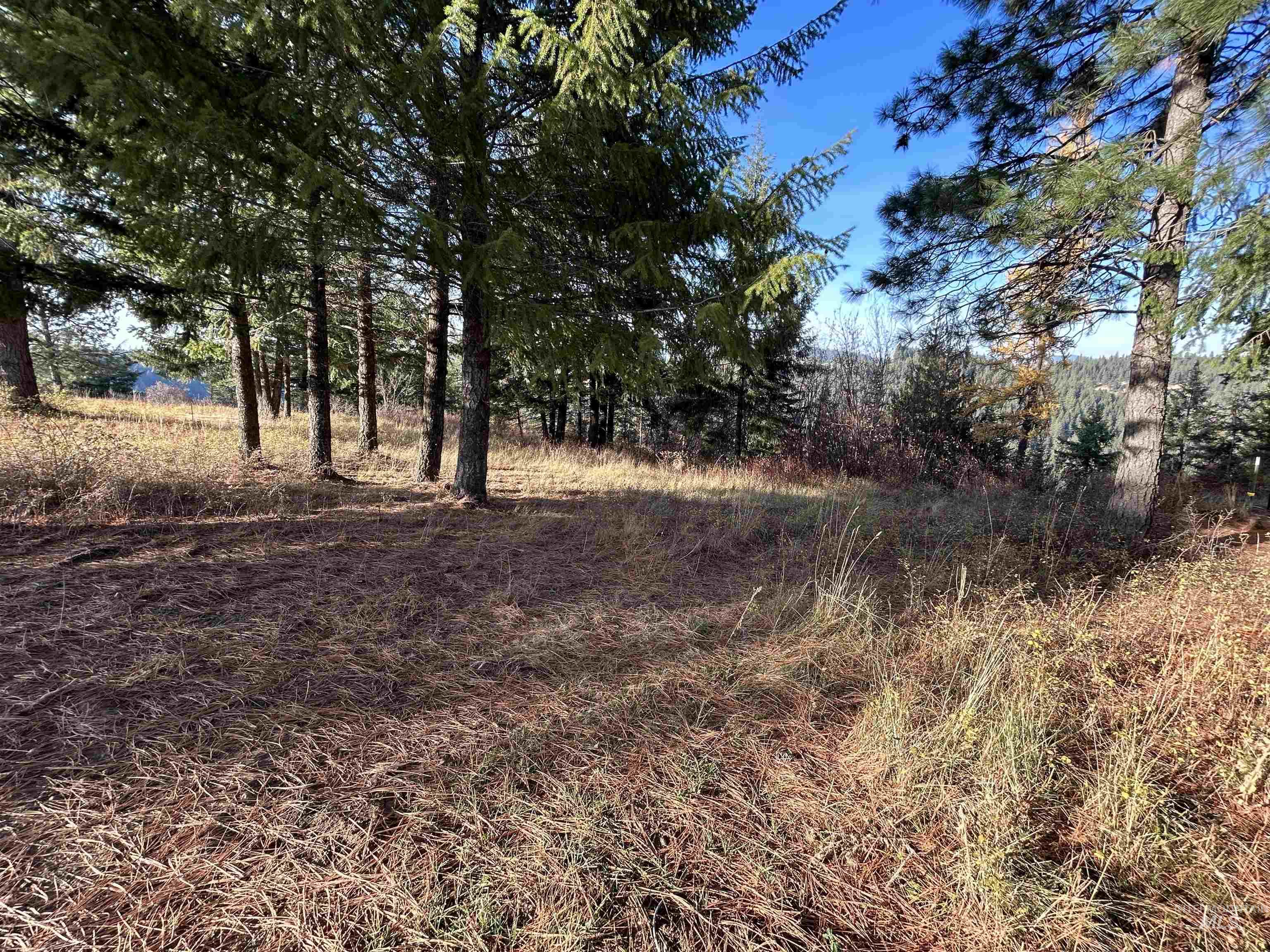 30478 W Juniper Cir Property Photo 11