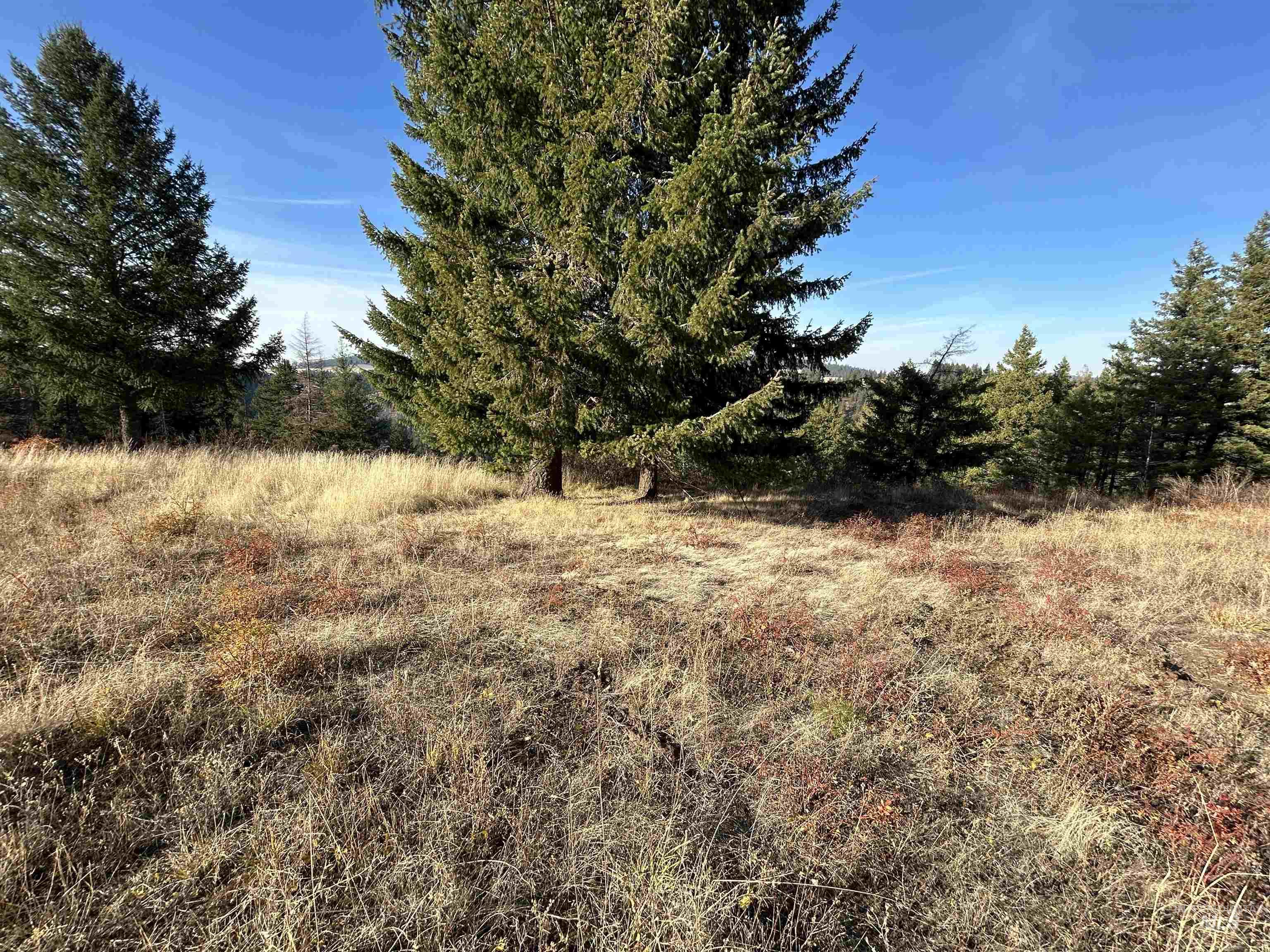 30478 W Juniper Cir Property Photo 12