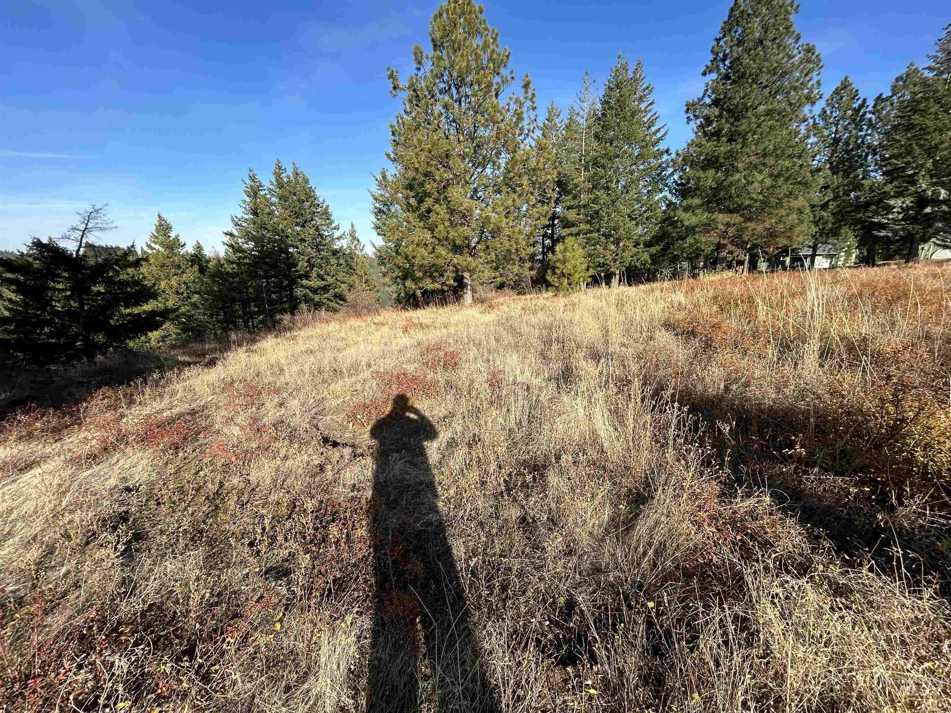 30478 W Juniper Cir Property Photo 13