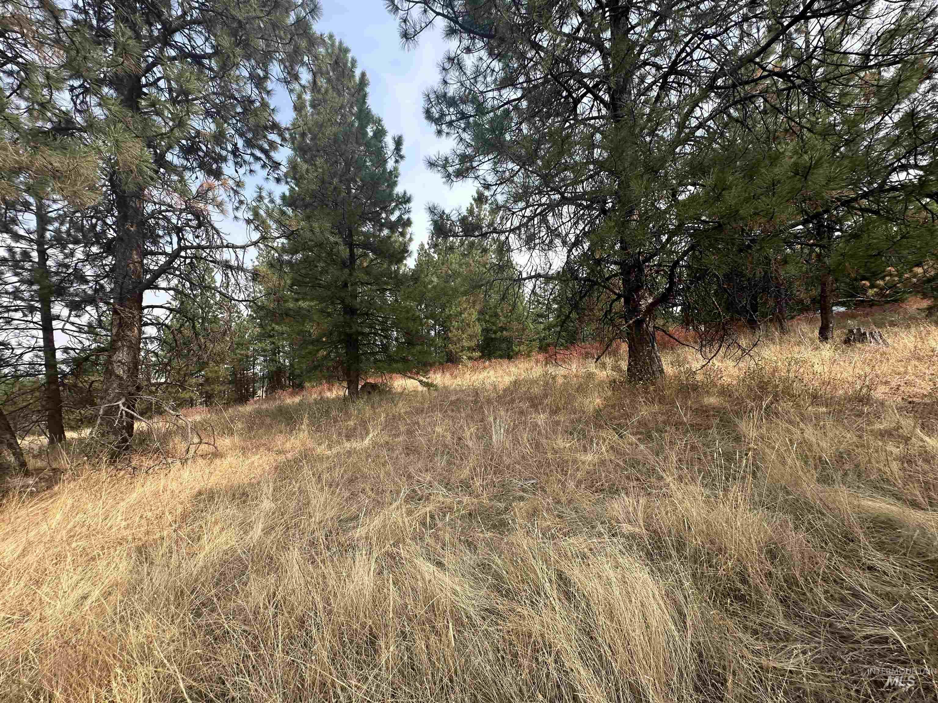 000 Joseph Rd Property Photo 2