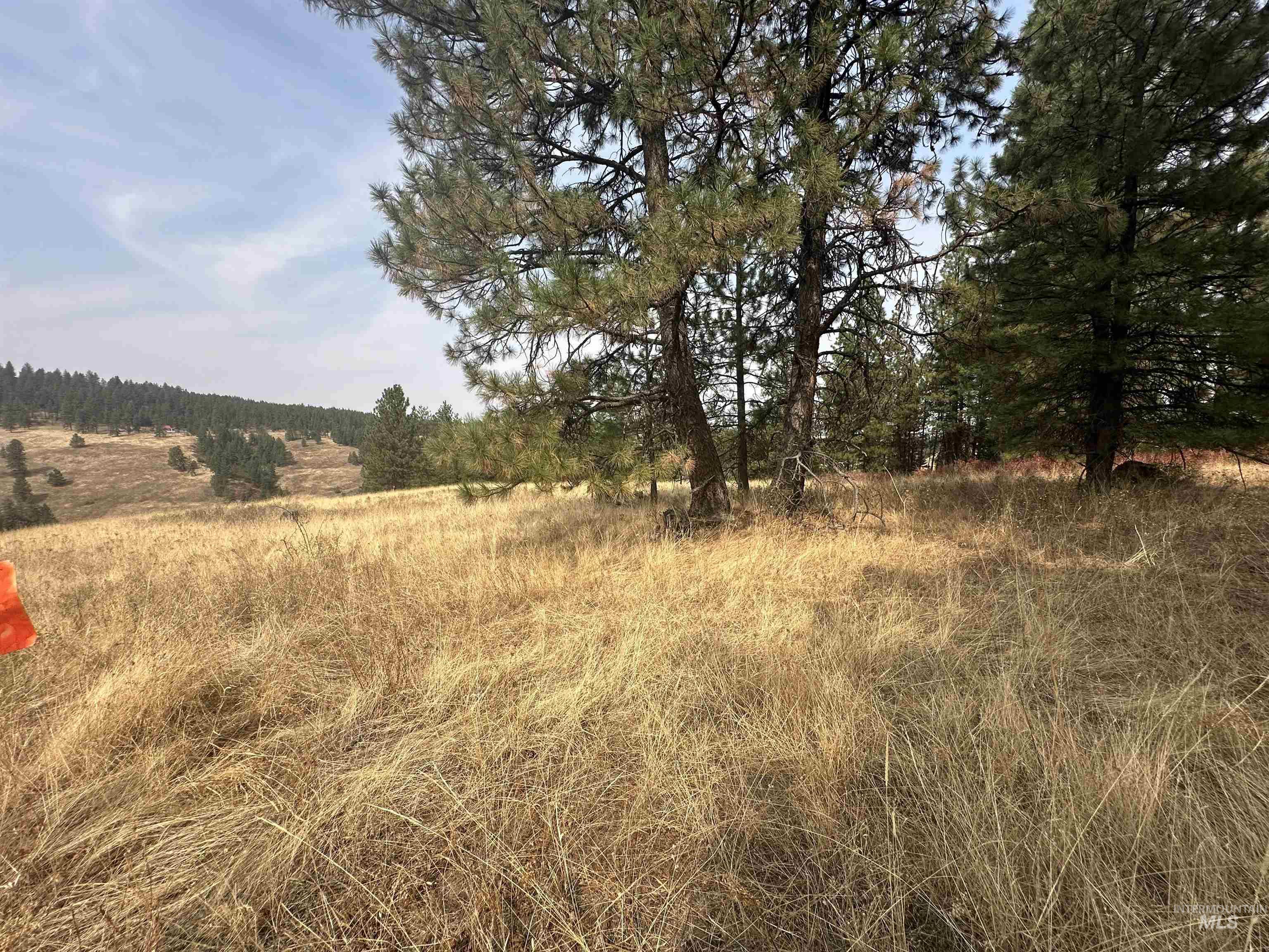 000 Joseph Rd Property Photo 3