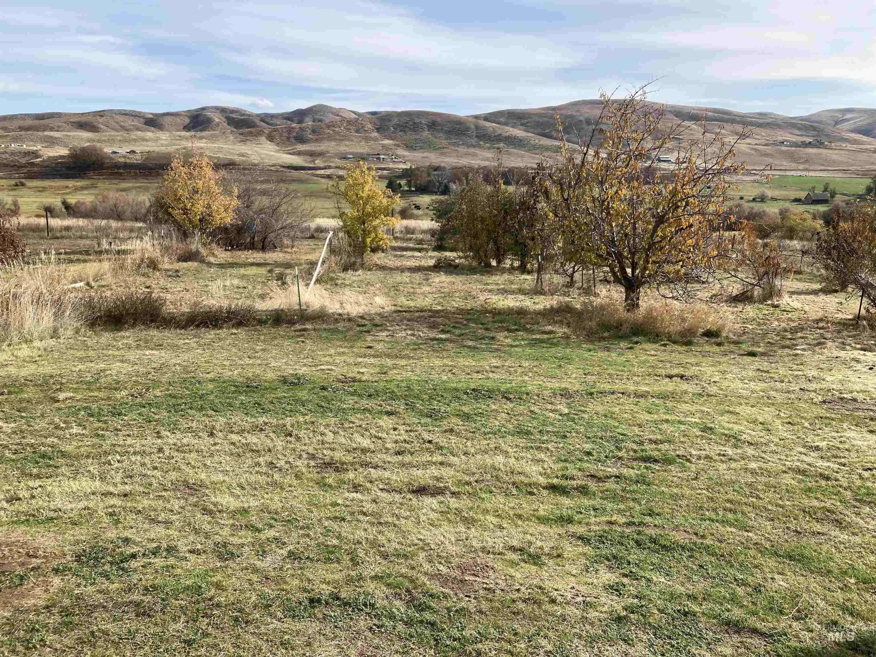 1854 Farnam Ln Property Photo 19