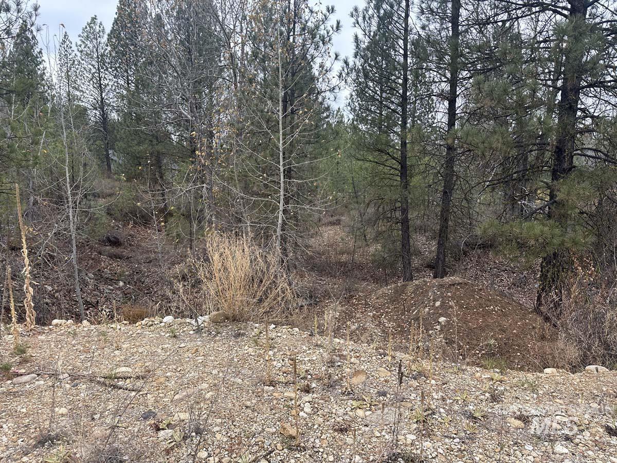 Lily Loop Property Photo 2