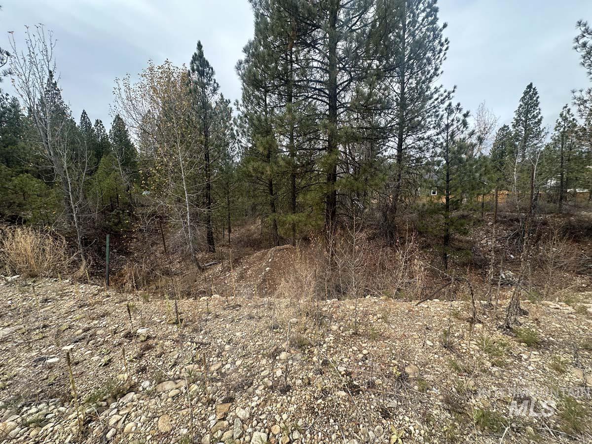 Lily Loop Property Photo 5