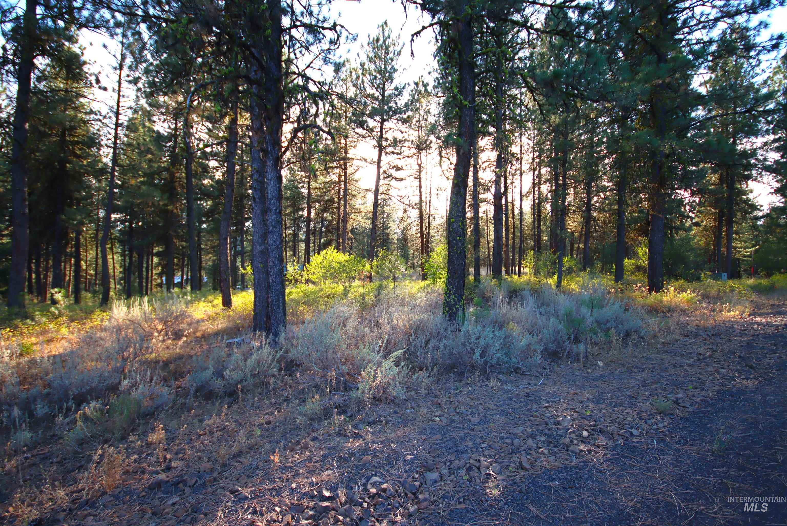 L5b4 Syringa Drive Property Photo 1