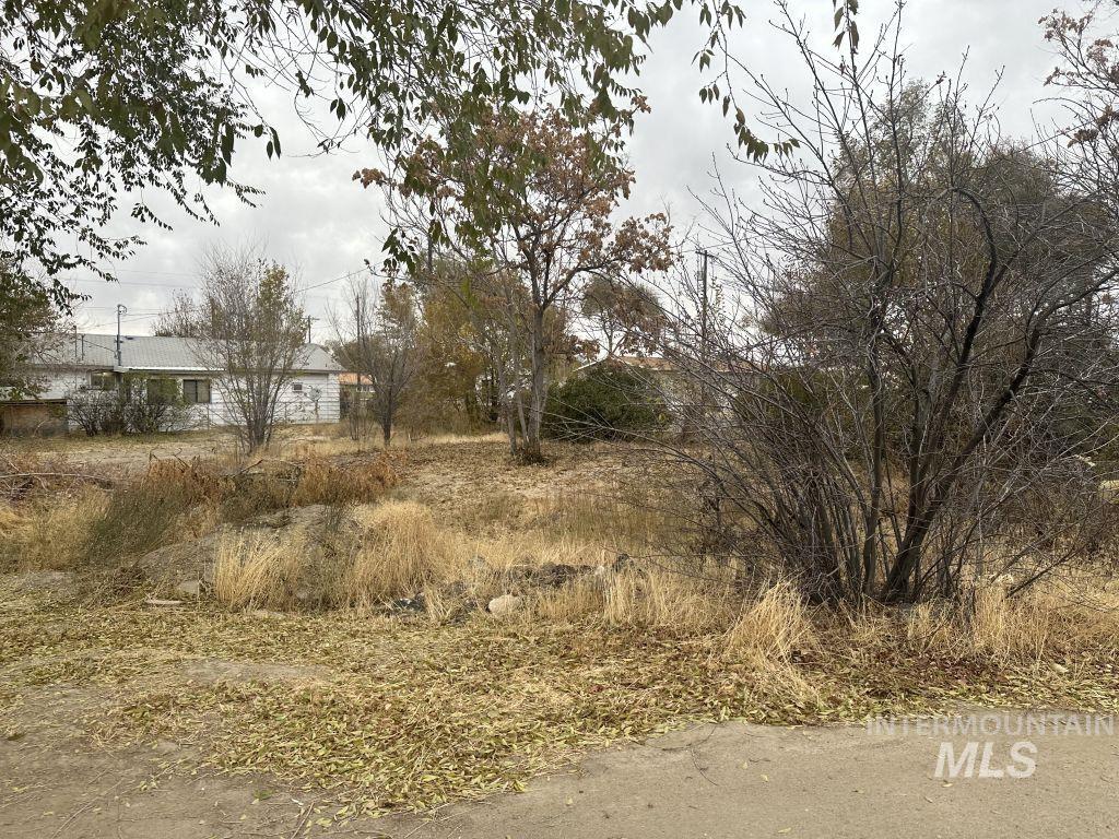 103 Ne Menagerie Property Photo 20
