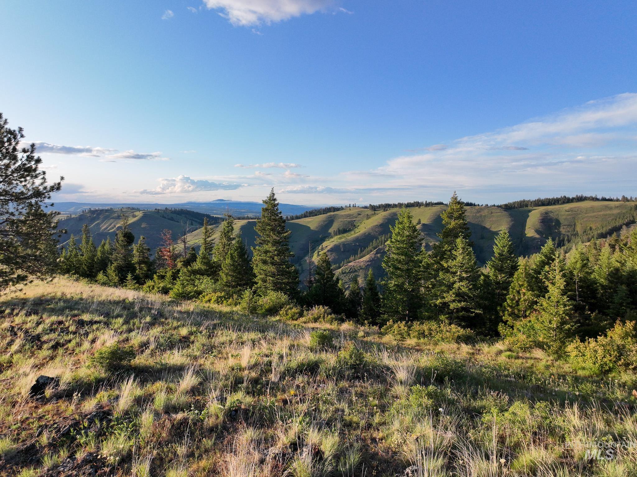 Tbd High Range Road Property Photo 8