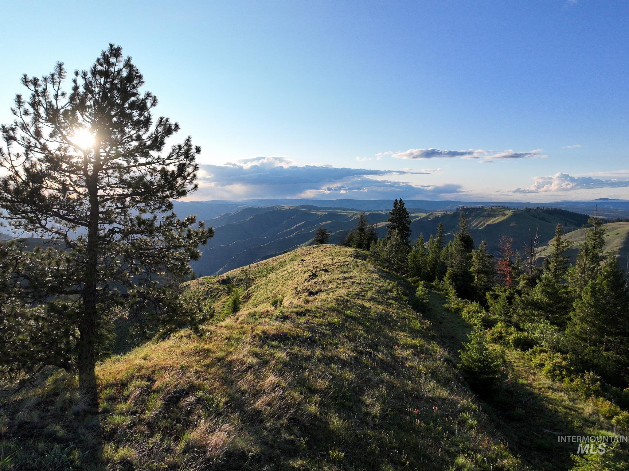 Tbd High Range Road Property Photo 9