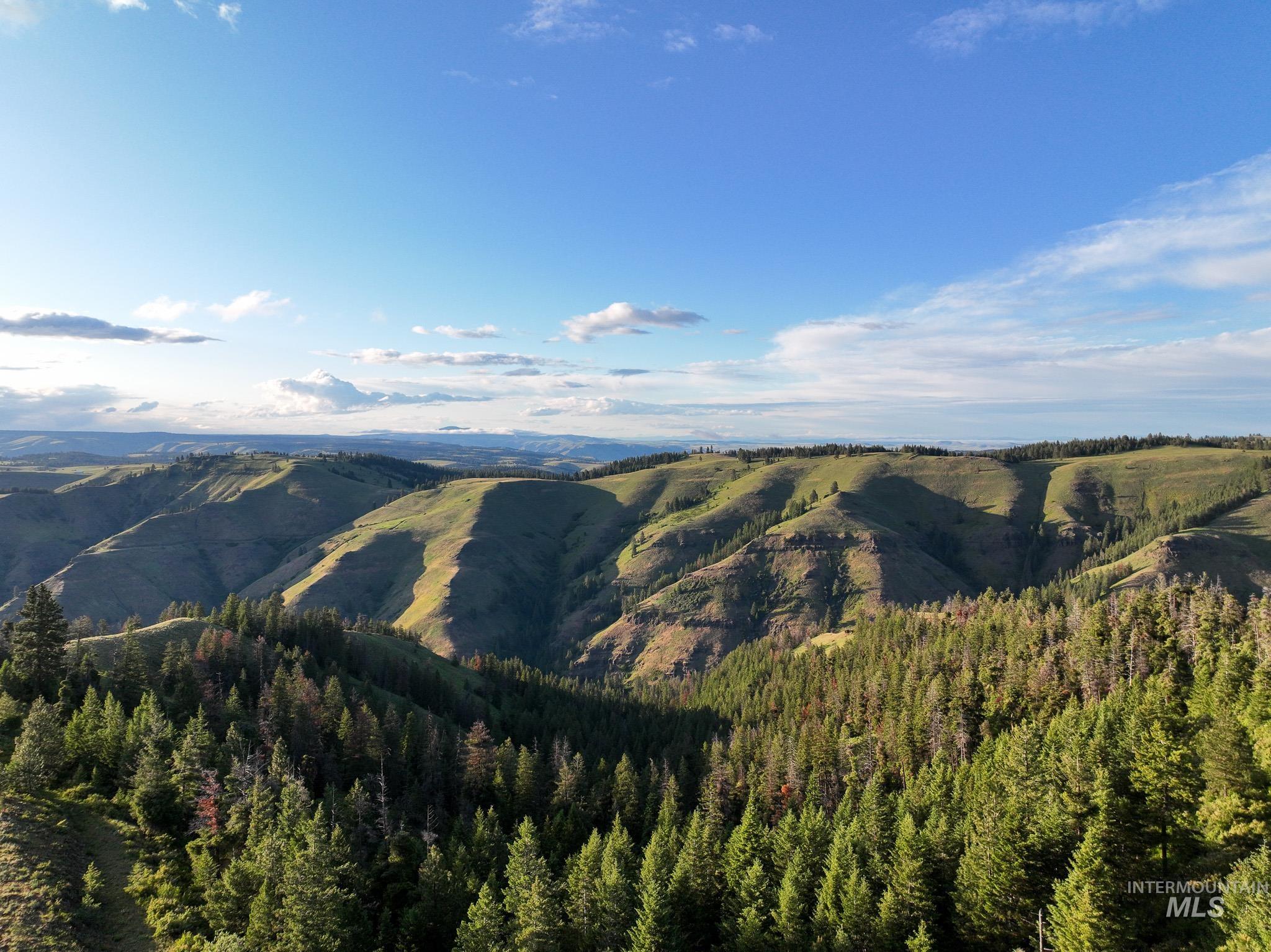 Tbd High Range Road Property Photo 11