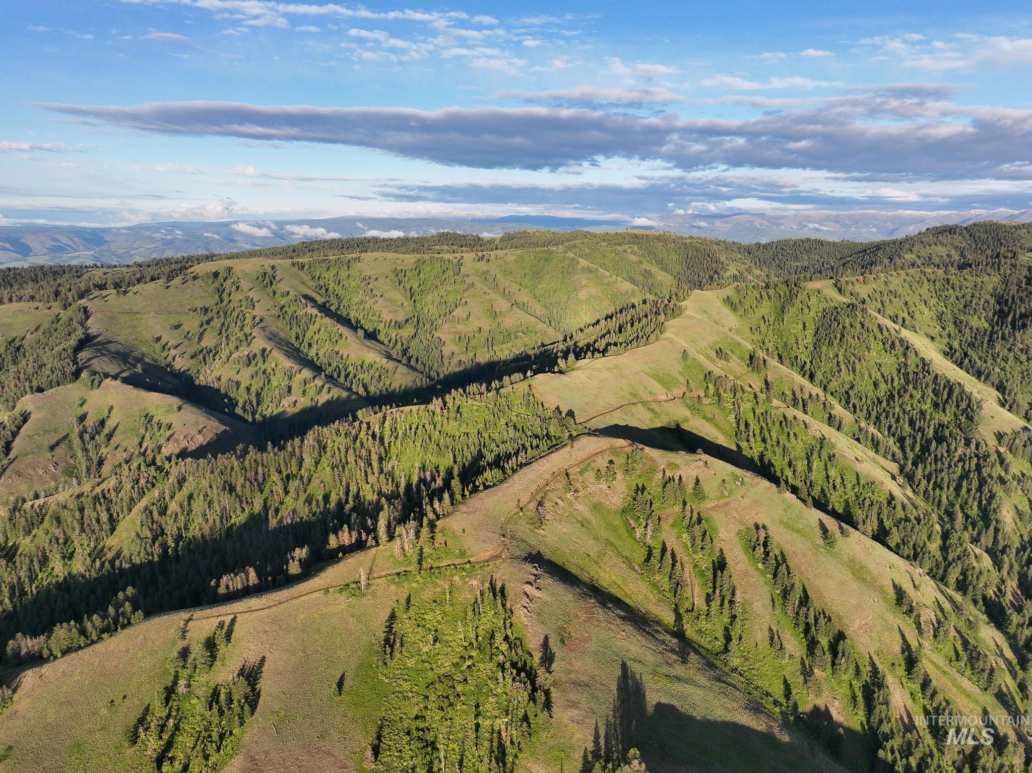 Tbd High Range Road Property Photo 13