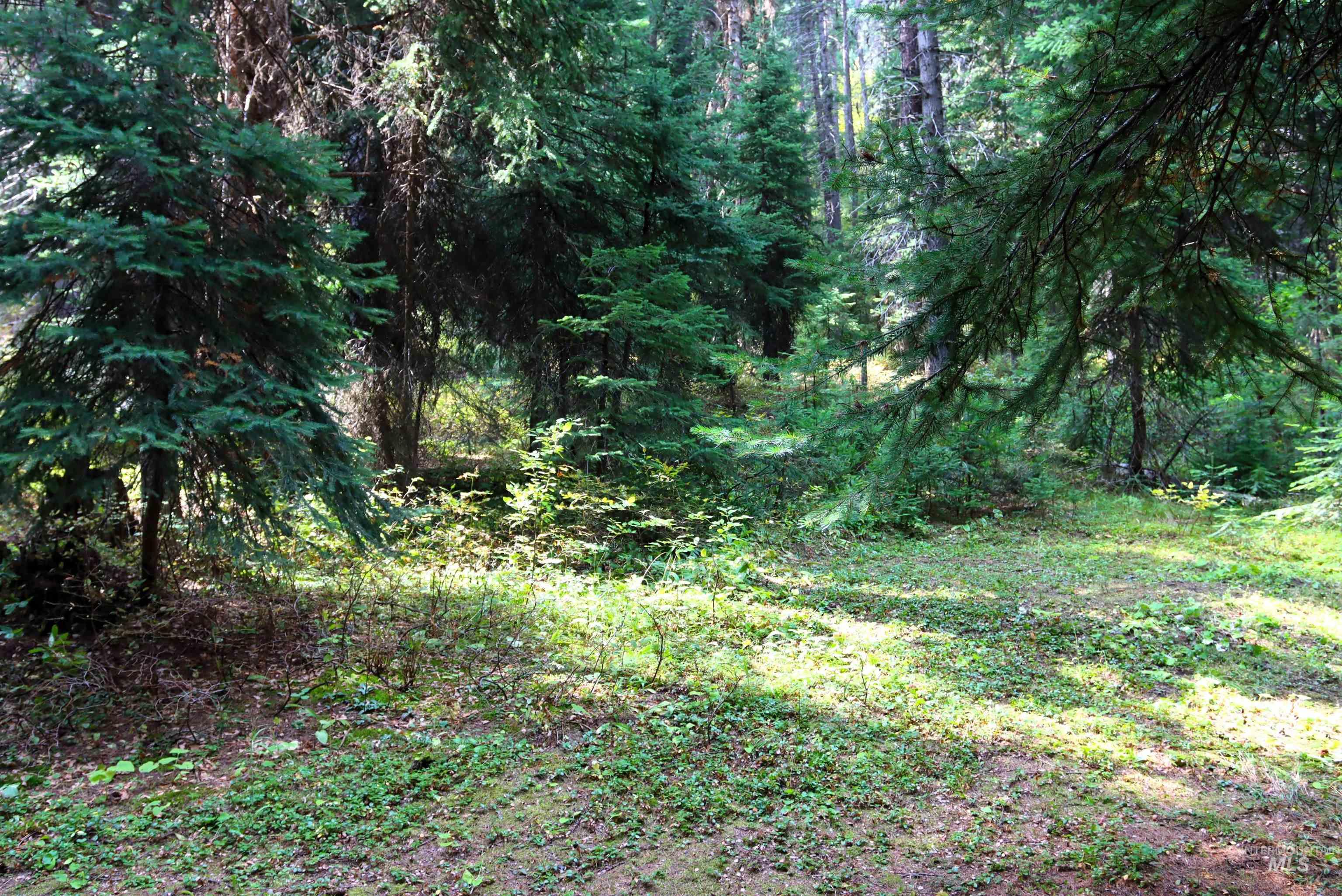 2325 West Mountain Road Property Photo 4