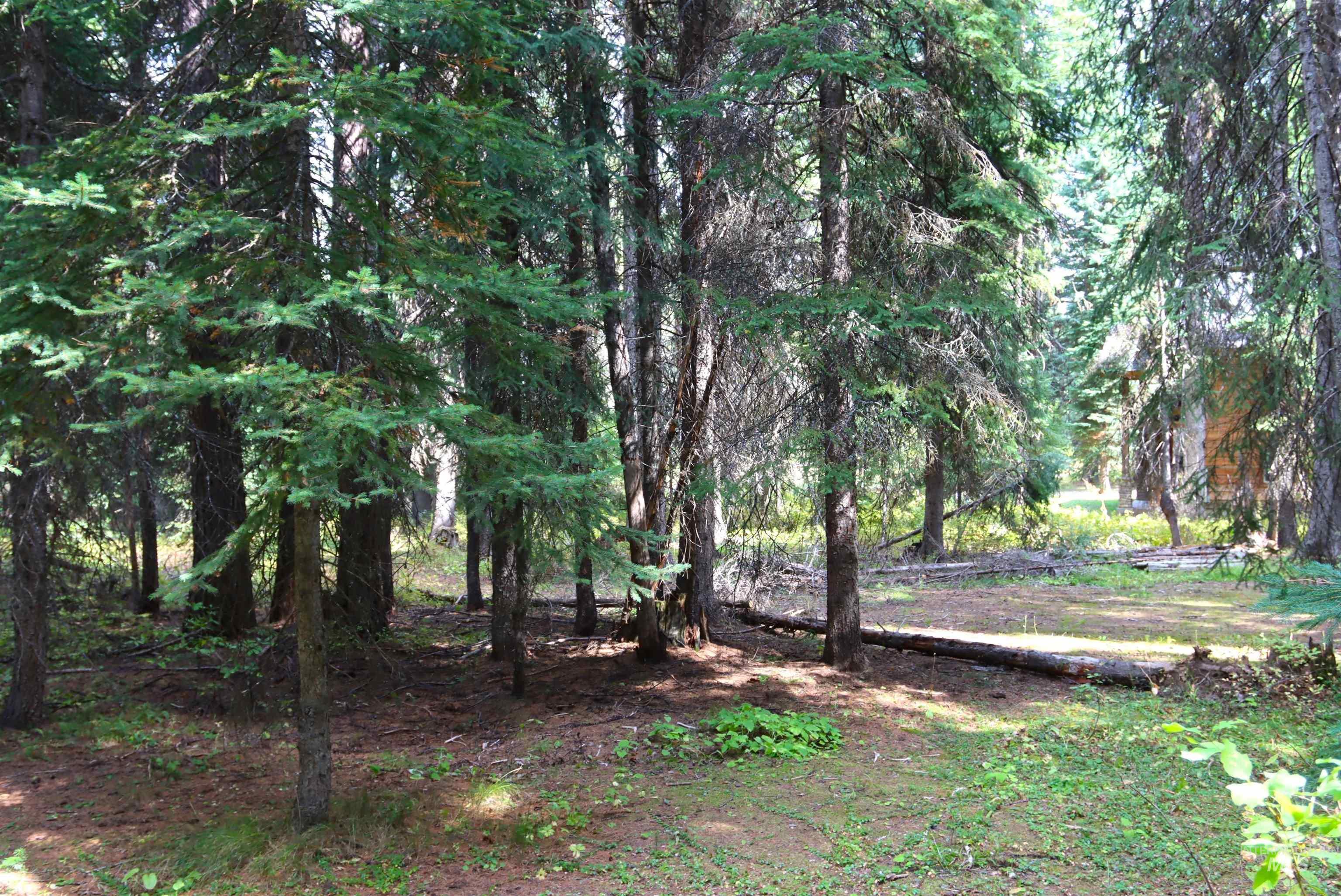 2325 West Mountain Road Property Photo 5