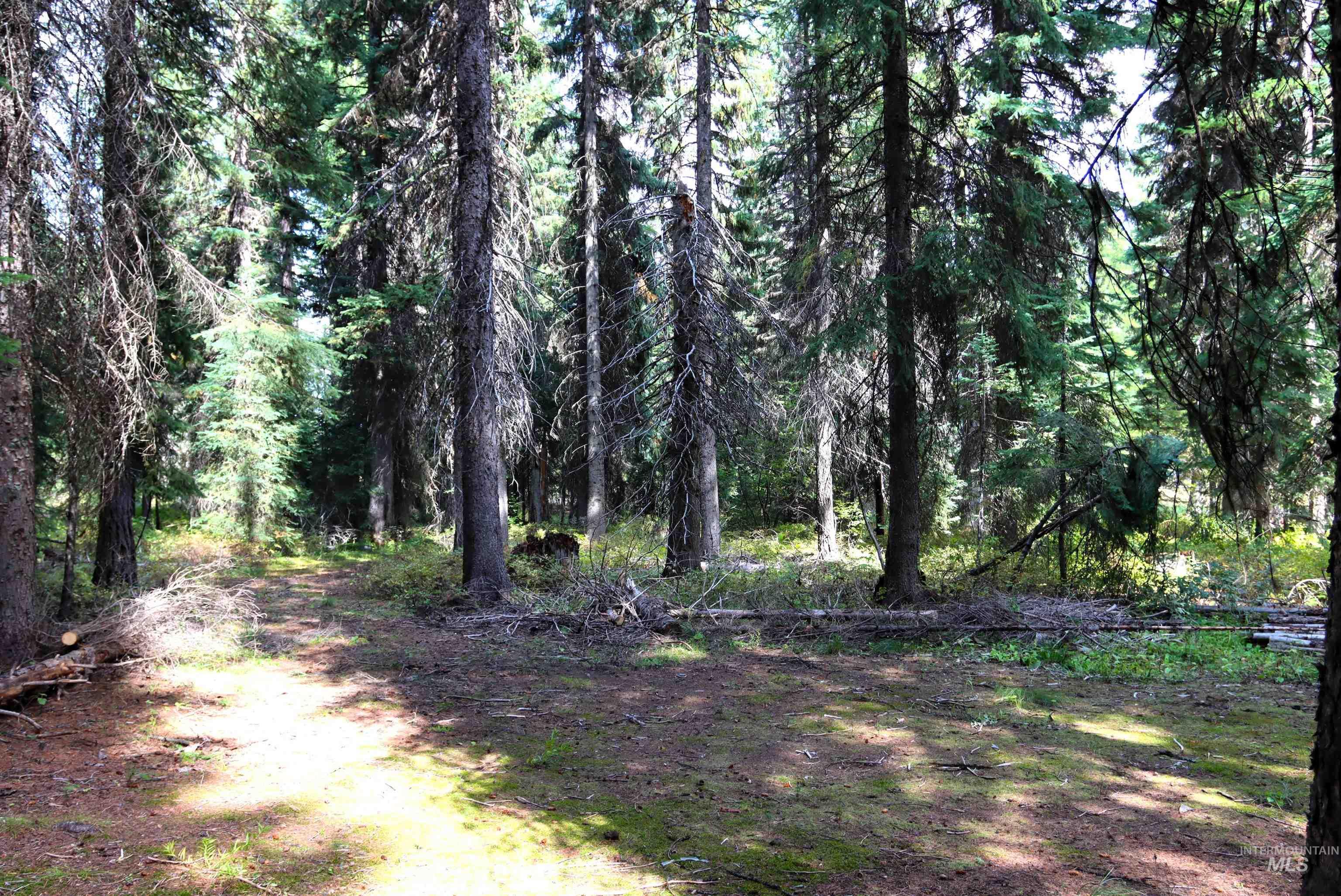 2325 West Mountain Road Property Photo 7
