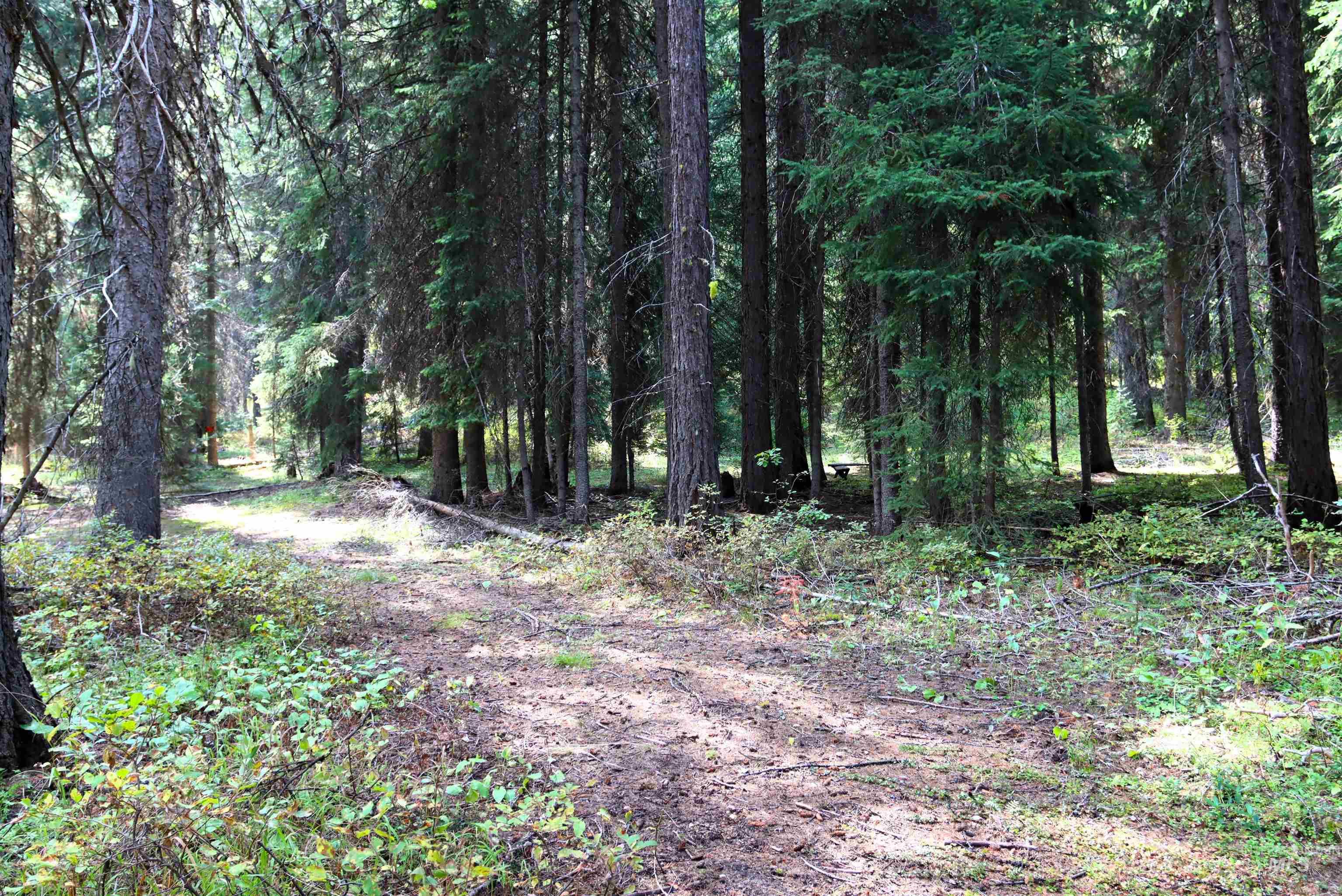 2325 West Mountain Road Property Photo 8