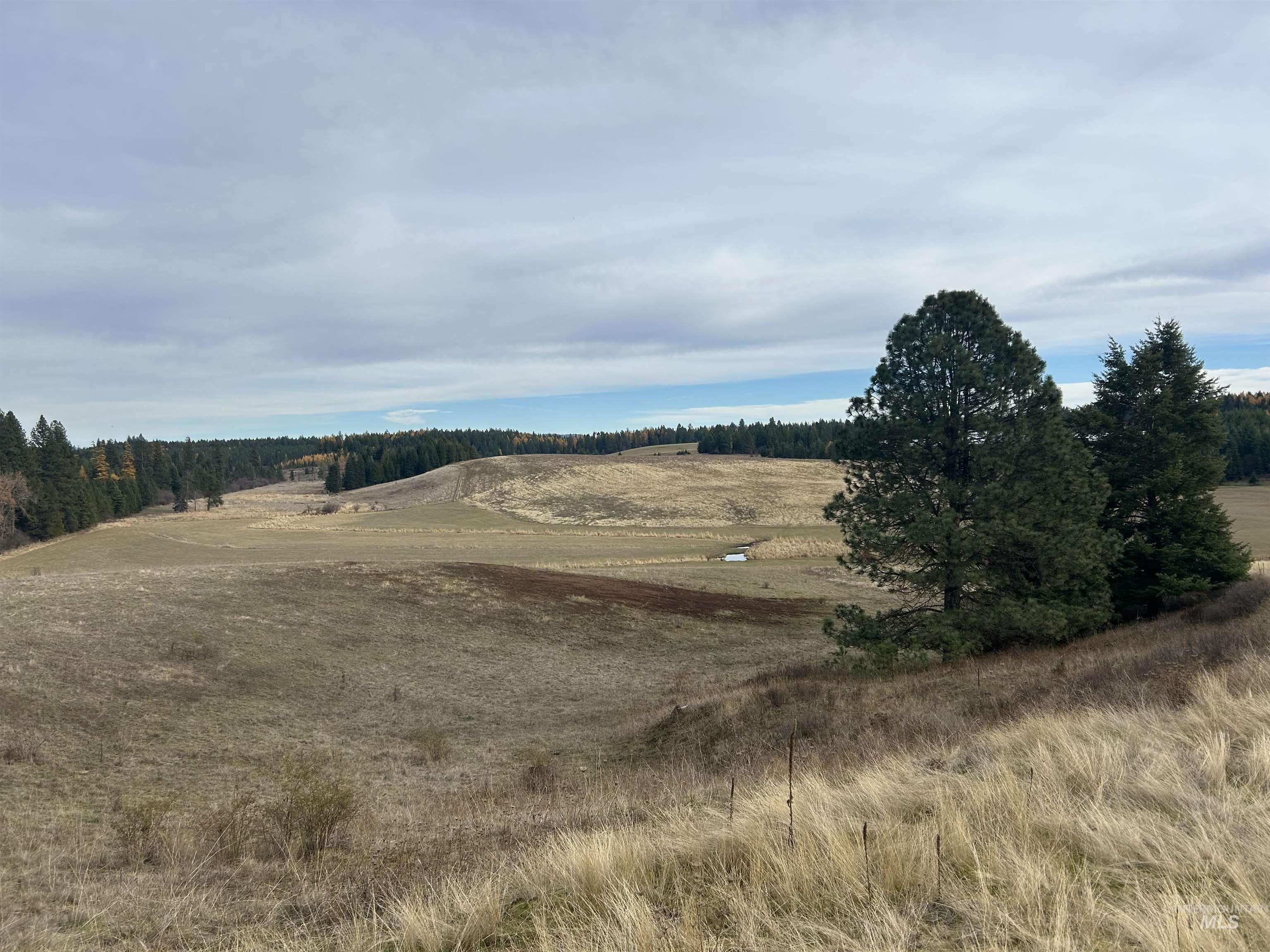 2521 Three Mile Road Property Photo