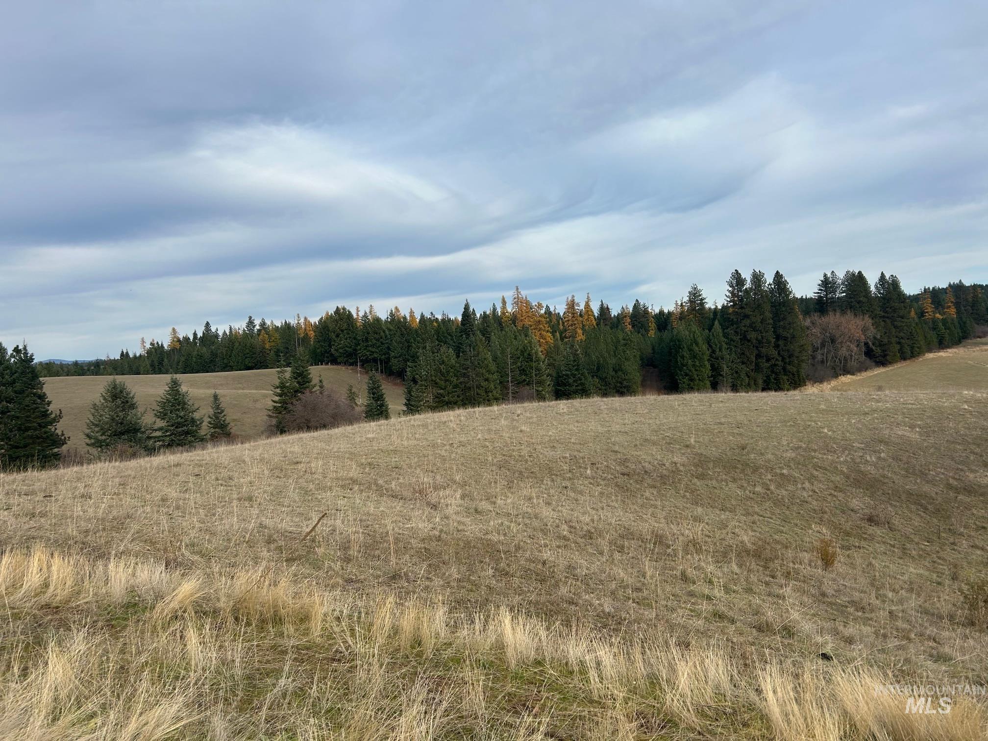 2521 Three Mile Road Property Photo 4