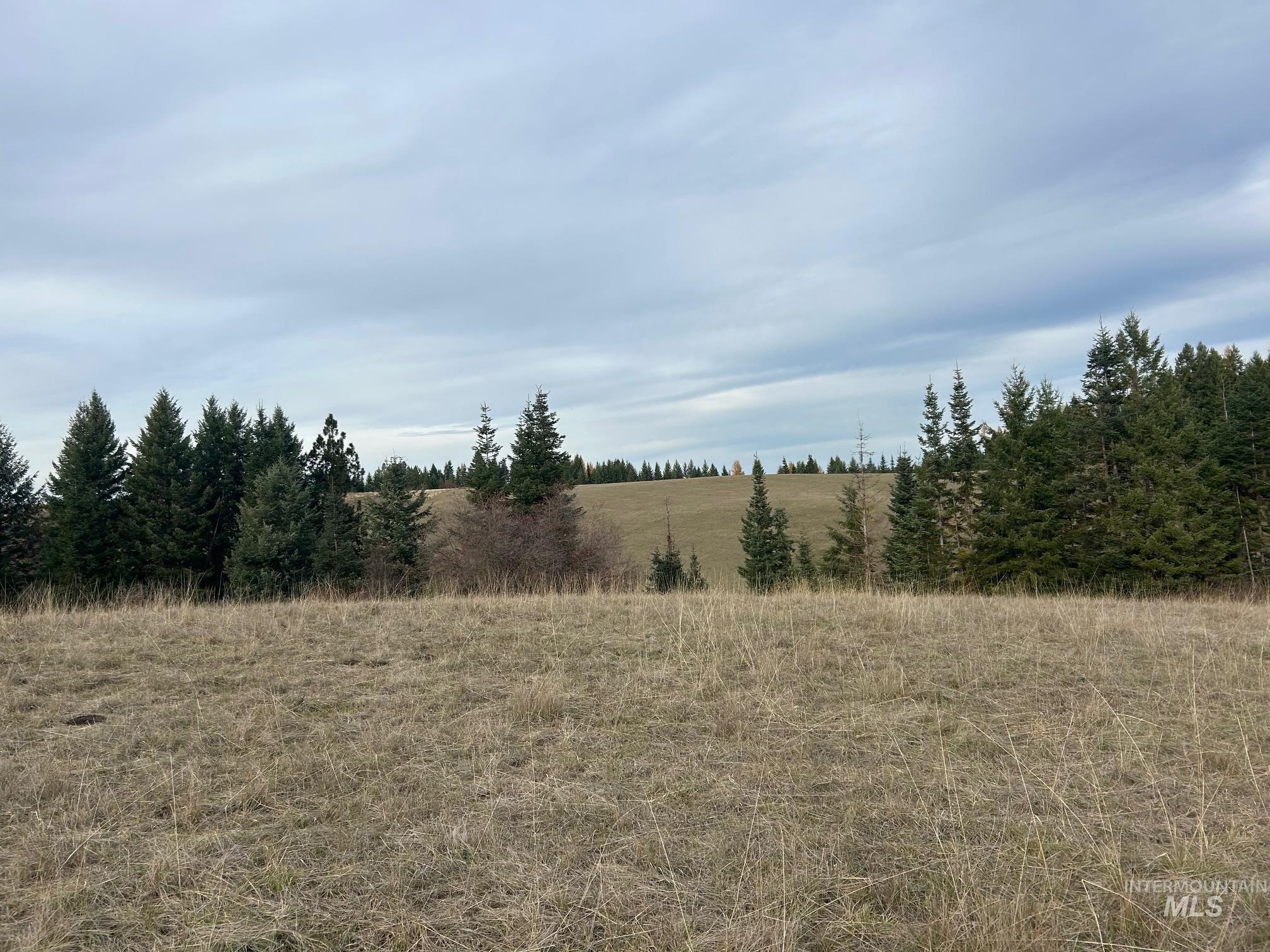 2521 Three Mile Road Property Photo 10