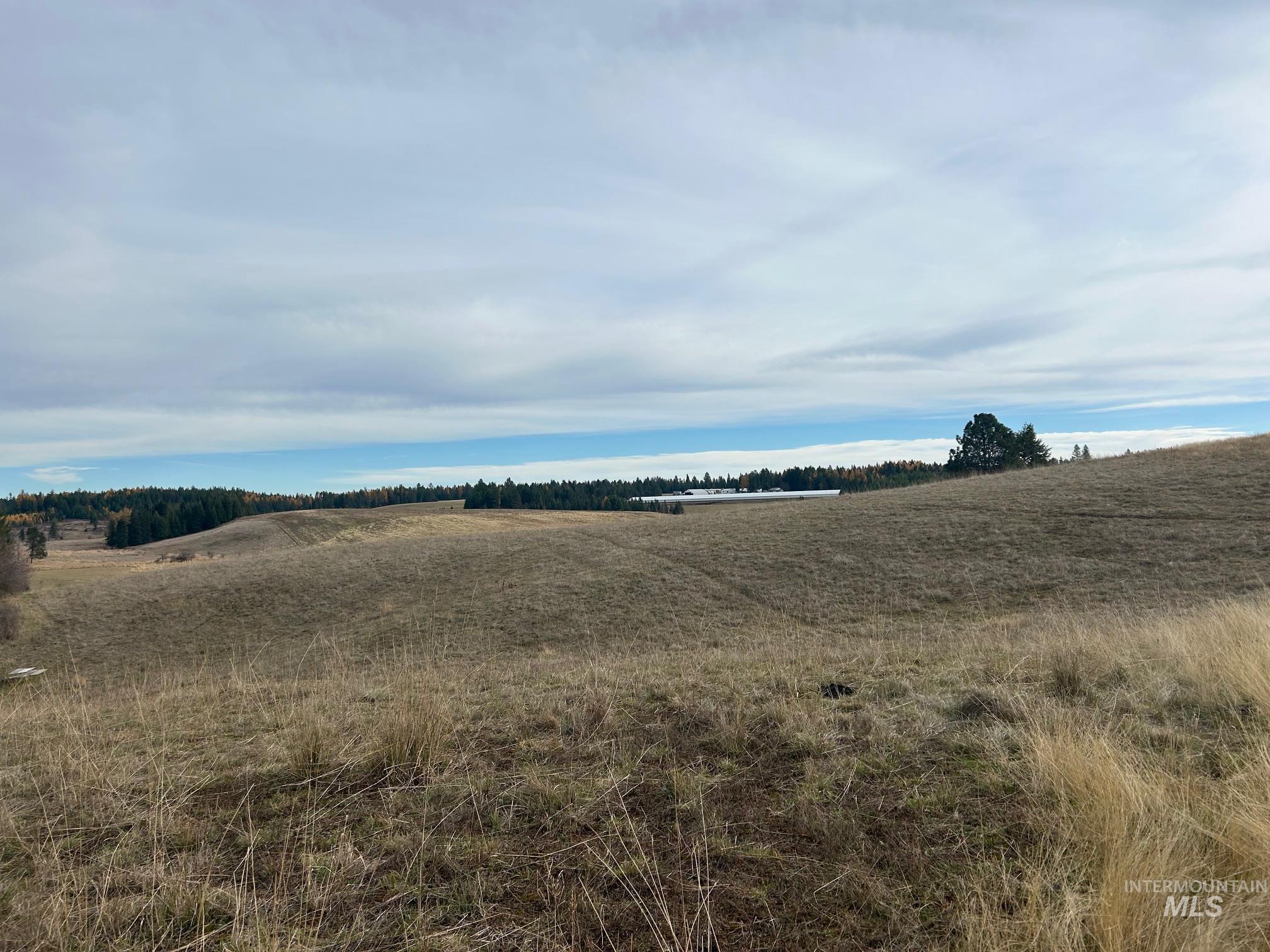 2521 Three Mile Road Property Photo 11