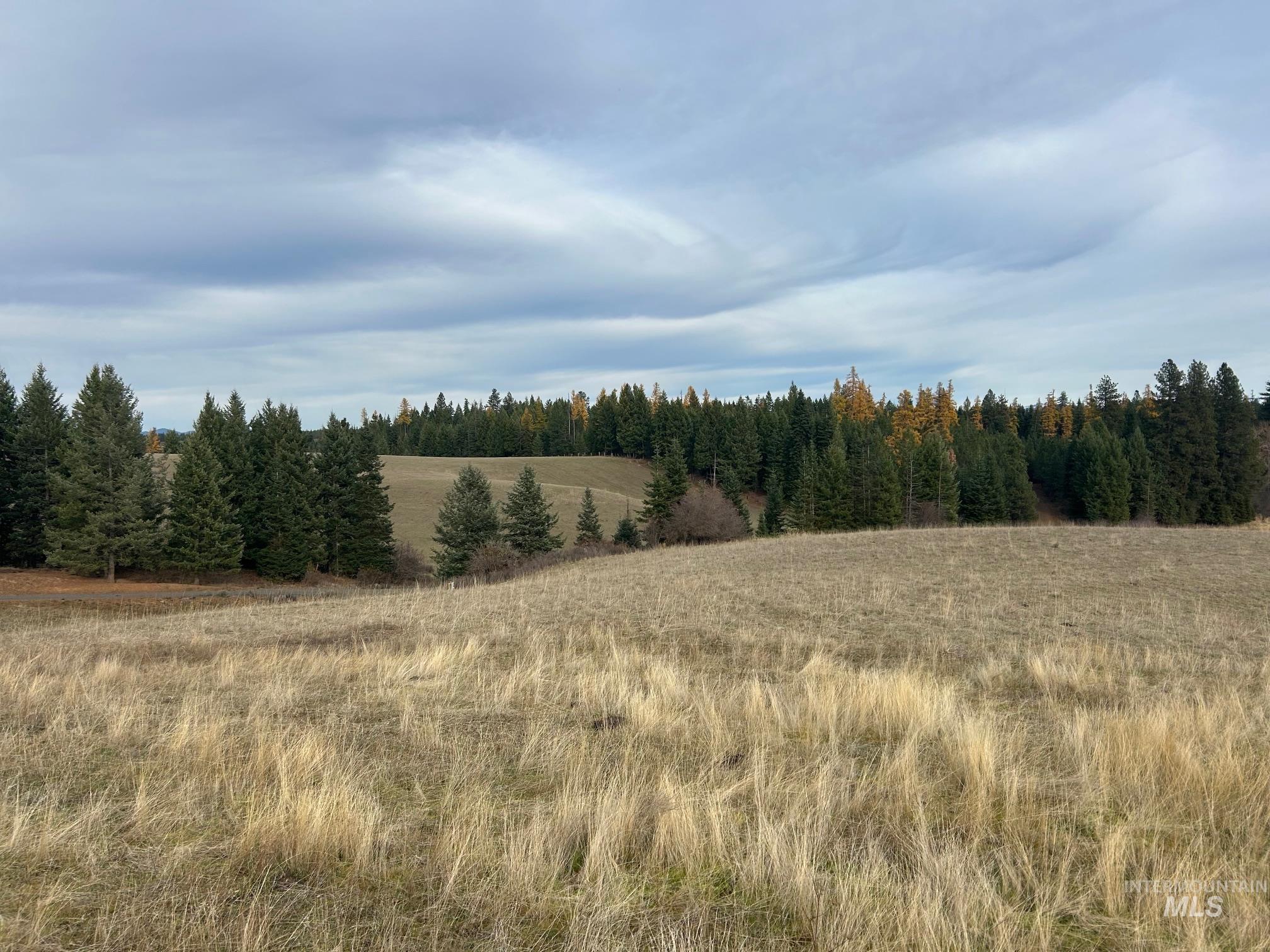 2521 Three Mile Road Property Photo 12