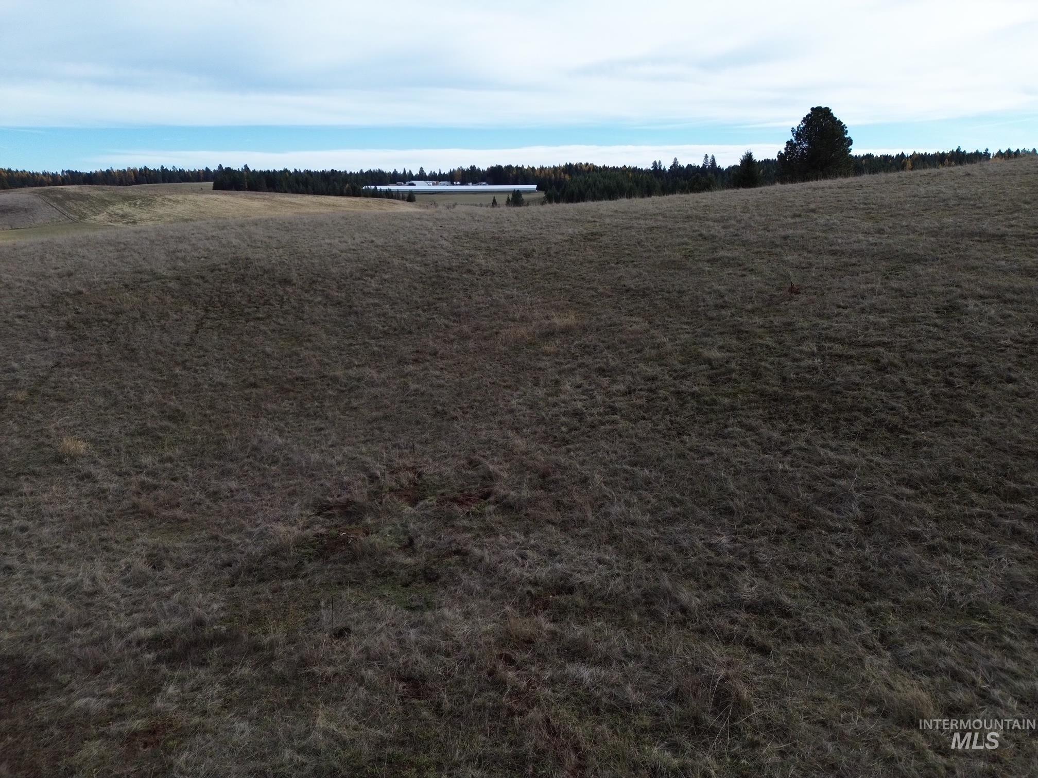 2521 Three Mile Road Property Photo 15