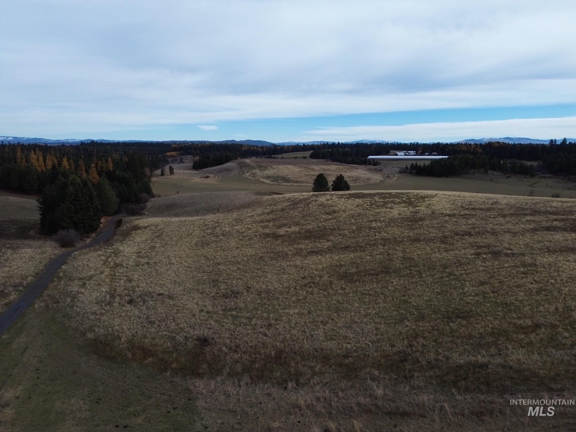 2521 Three Mile Road Property Photo 16