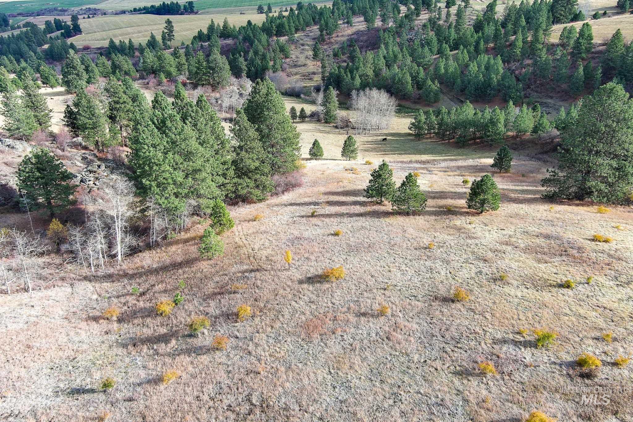 Tbd Over Yonder Road Property Photo 6