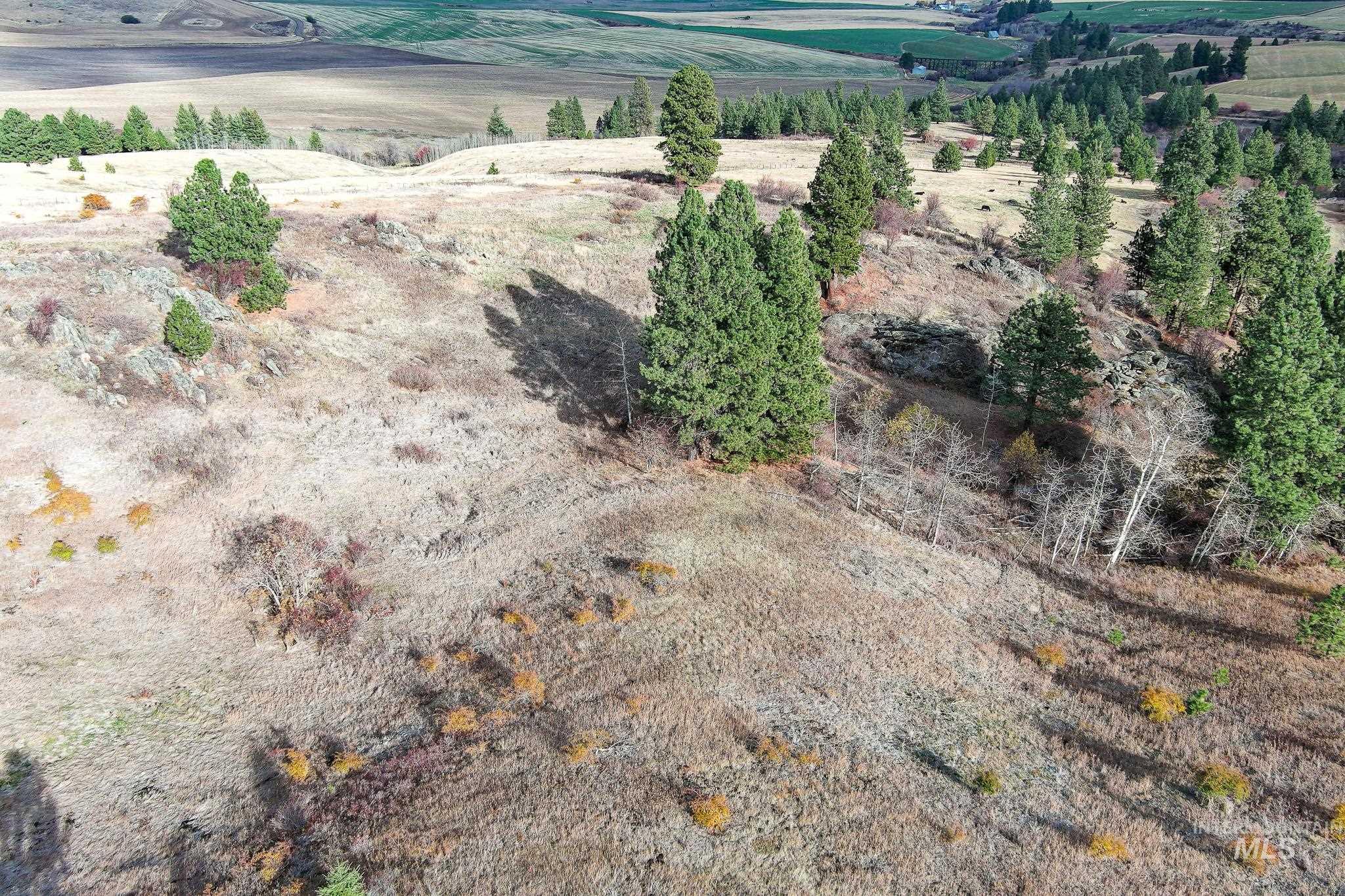 Tbd Over Yonder Road Property Photo 7