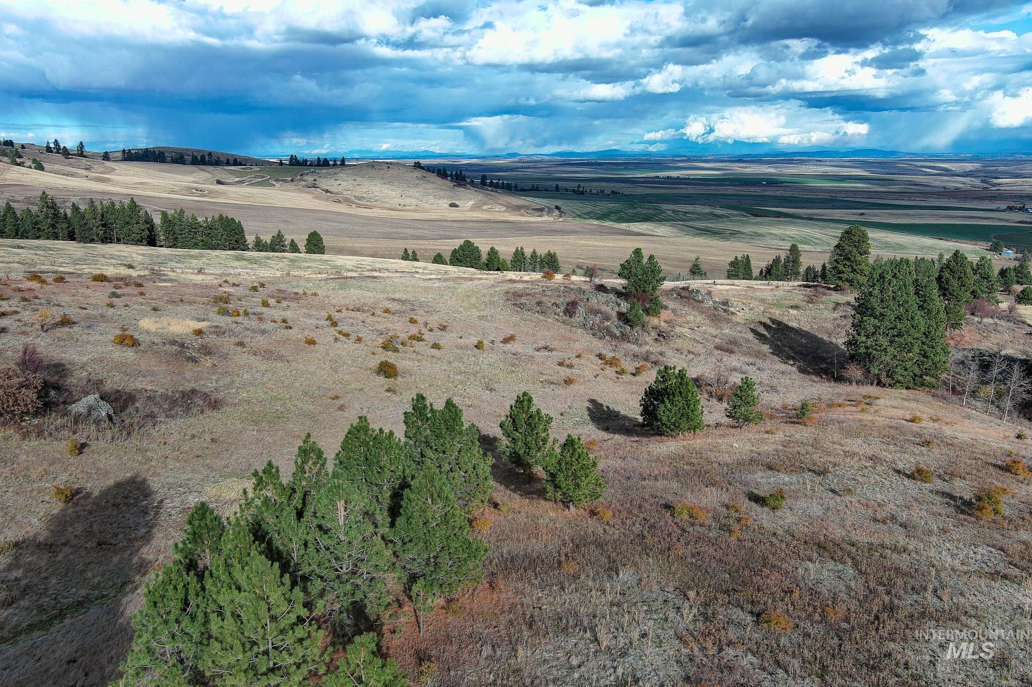 Tbd Over Yonder Road Property Photo 8