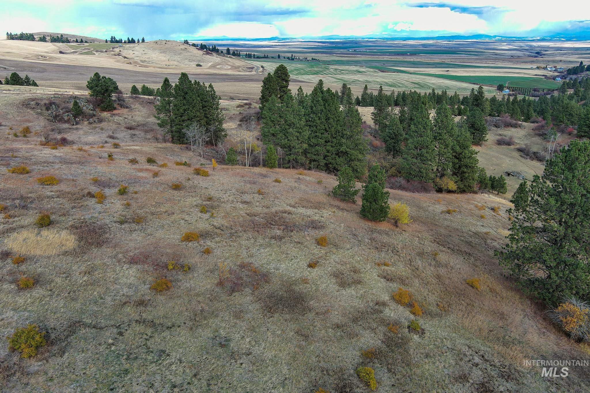 Tbd Over Yonder Road Property Photo 9