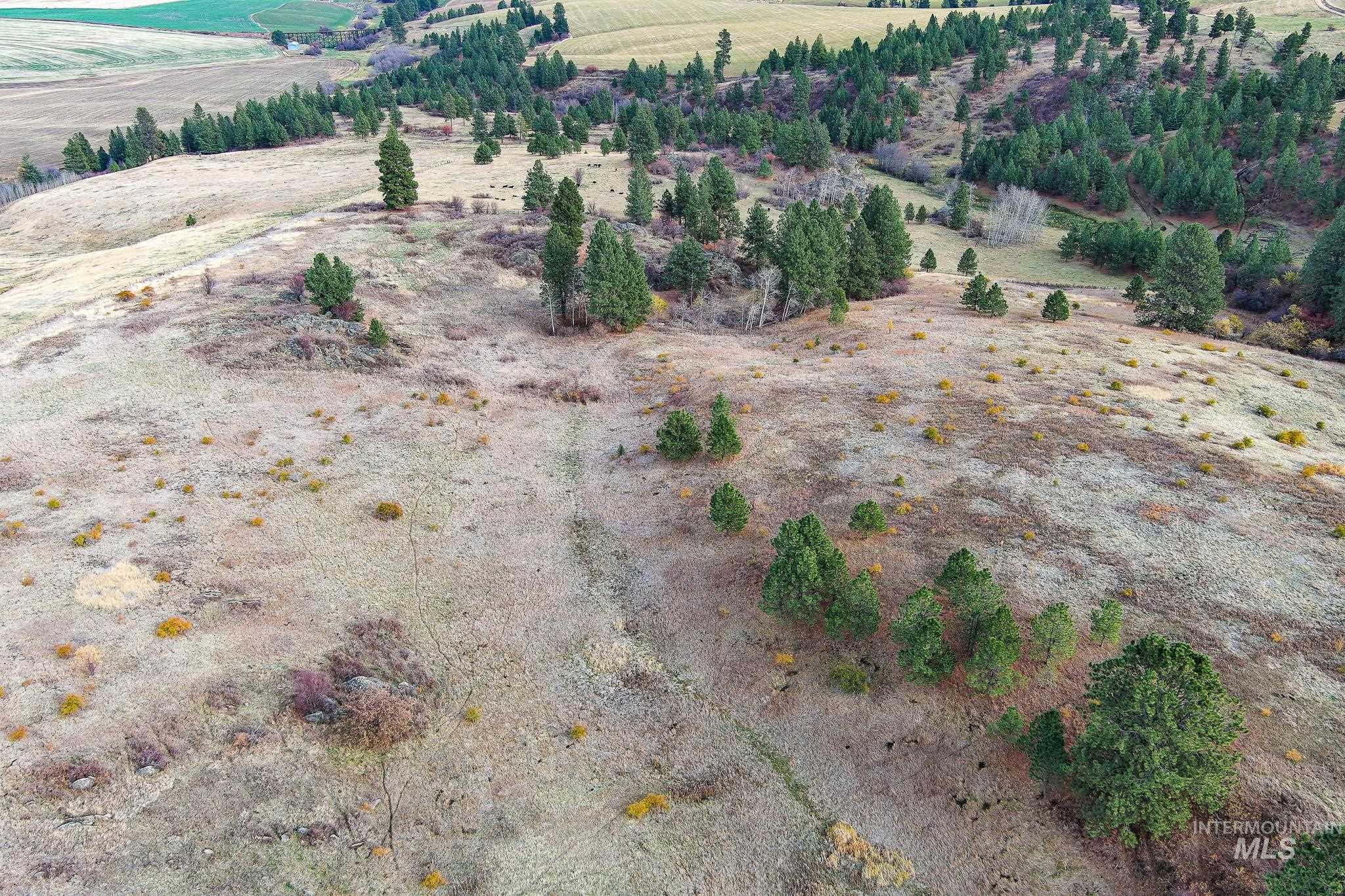 Tbd Over Yonder Road Property Photo 11
