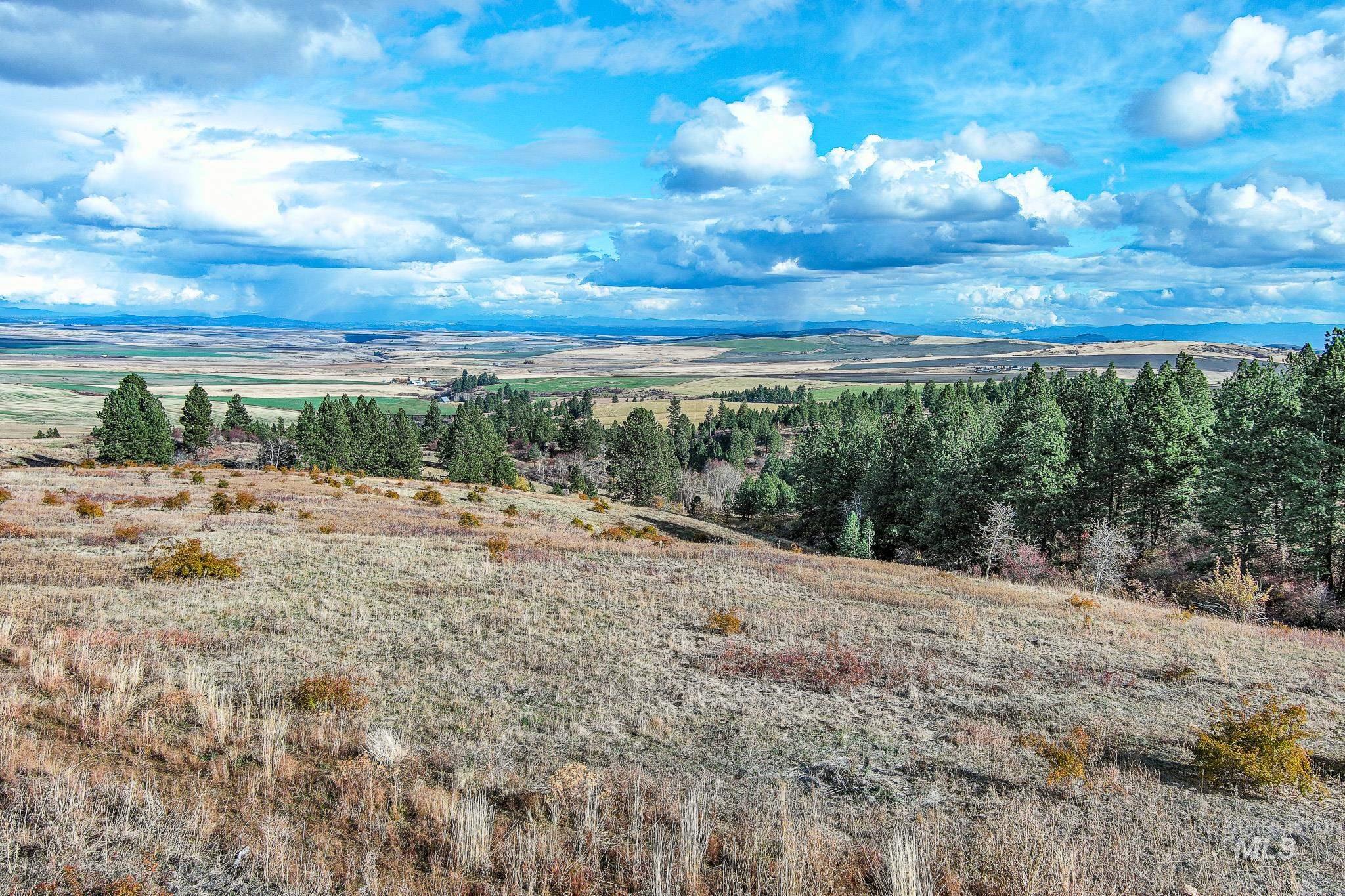 Tbd Over Yonder Road Property Photo 2